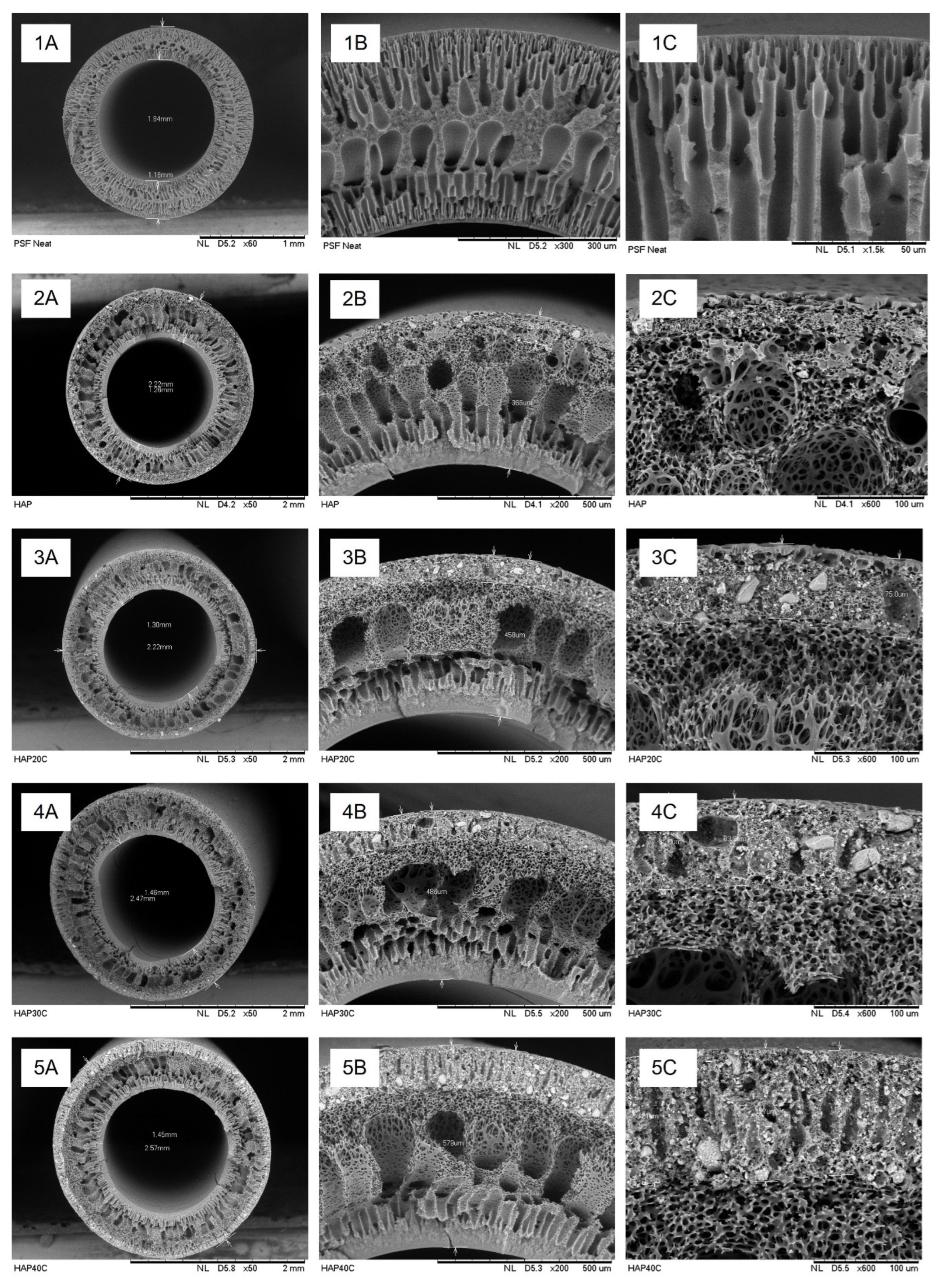 Membranes 13 00170 g006