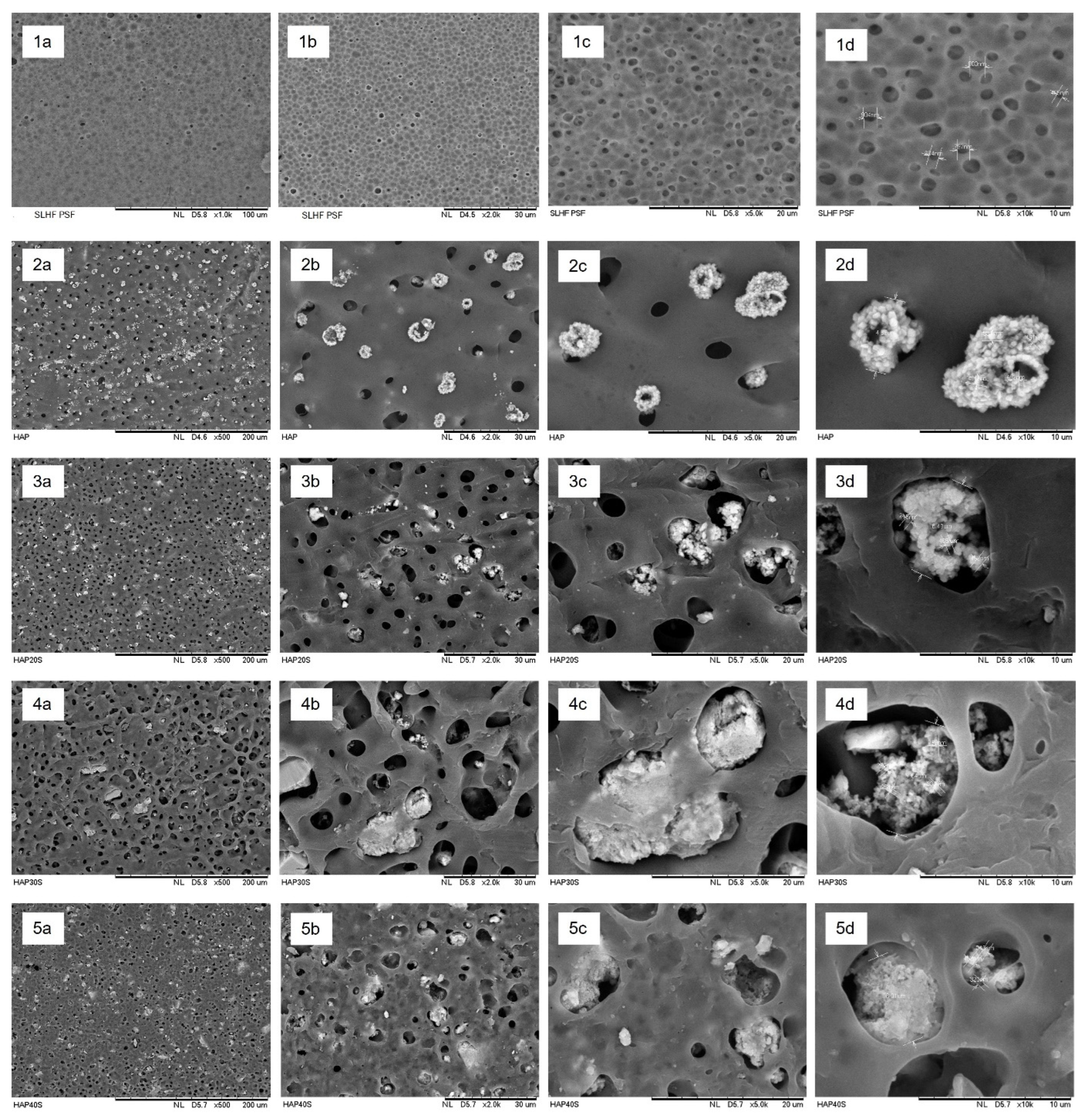 Membranes 13 00170 g007
