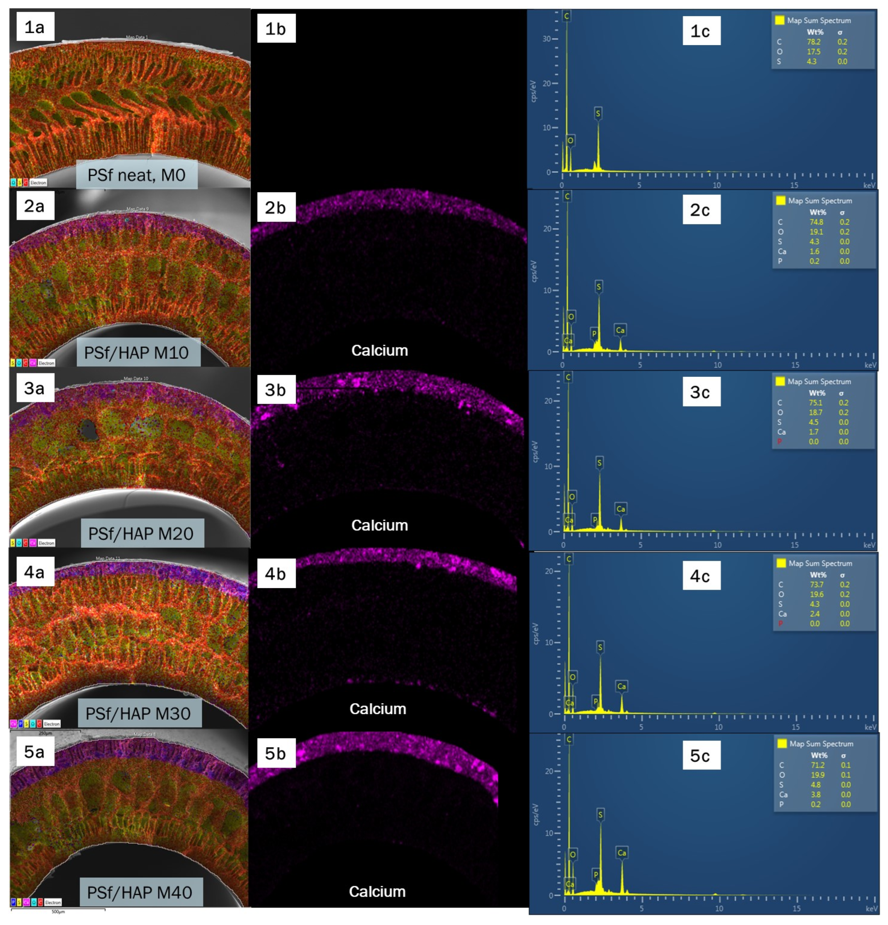 Membranes 13 00170 g008