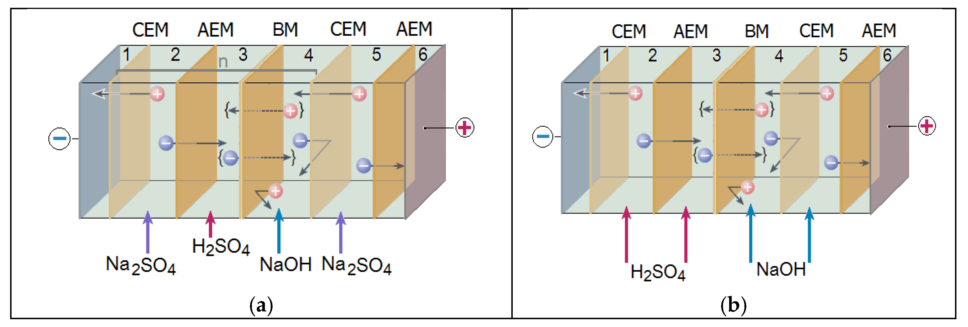 Membranes 13 00172 g003