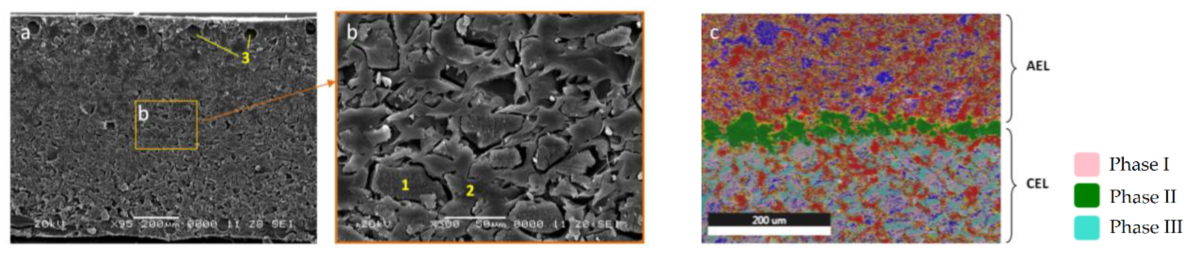 Membranes 13 00172 g004