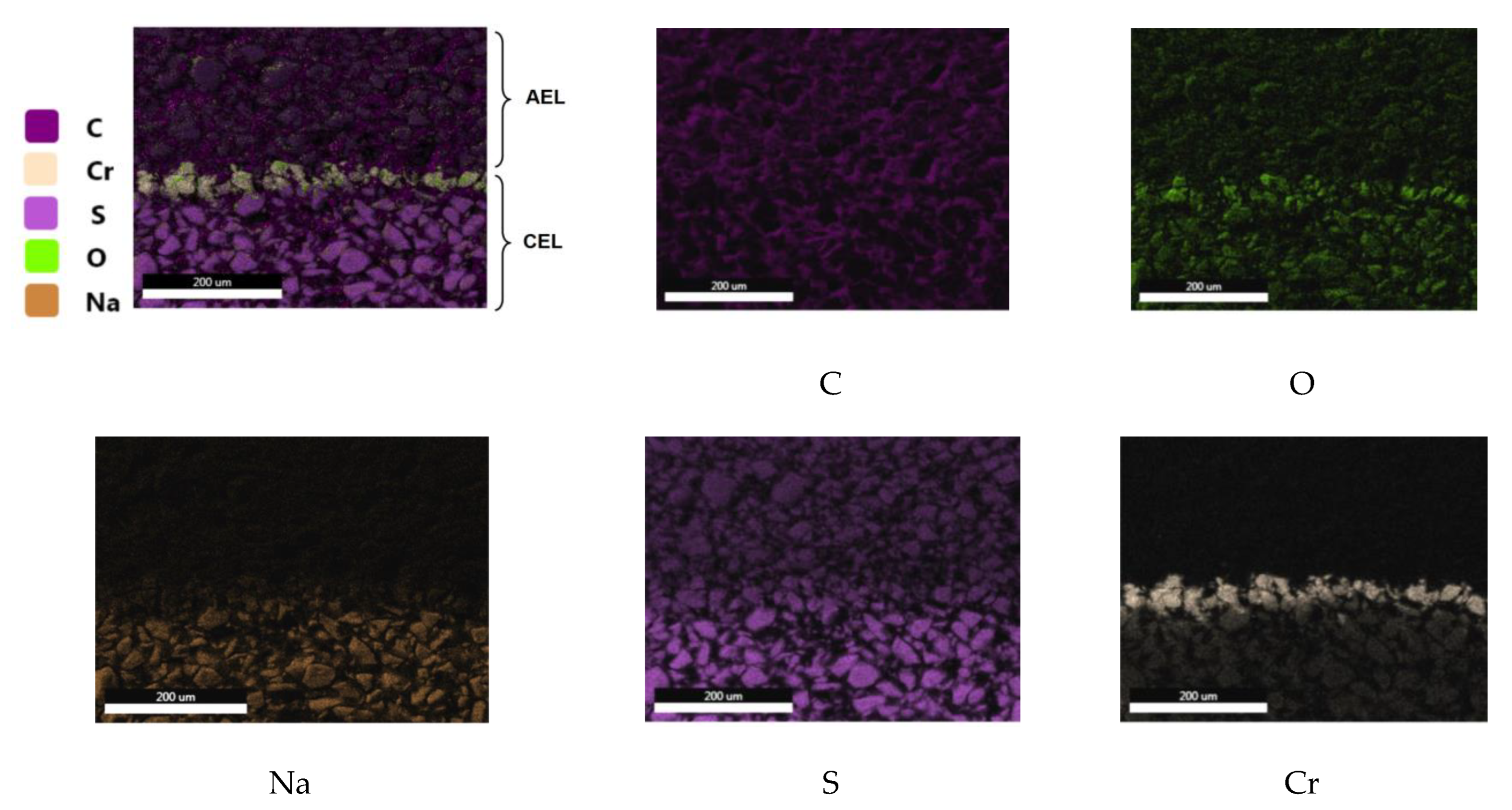 Membranes 13 00172 g005