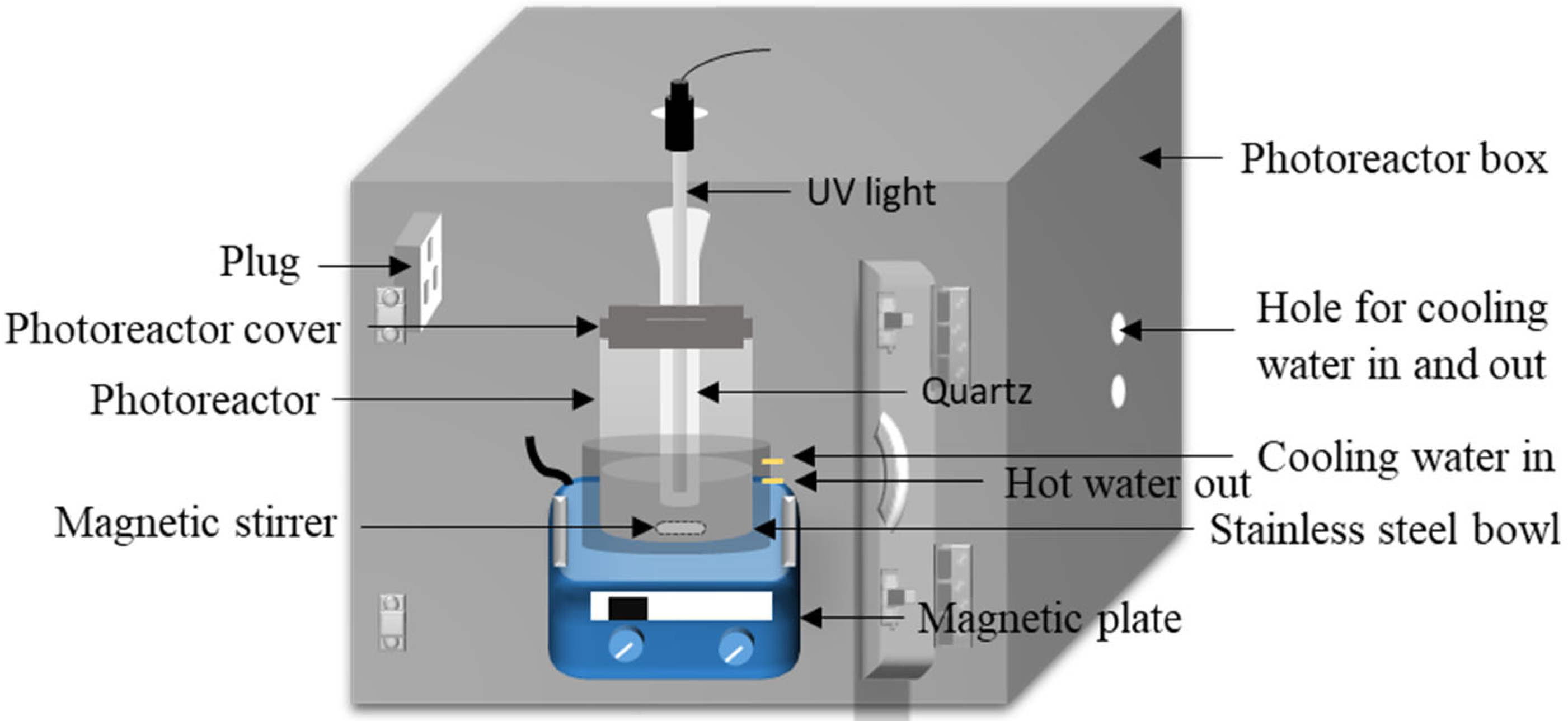Membranes 13 00174 g001