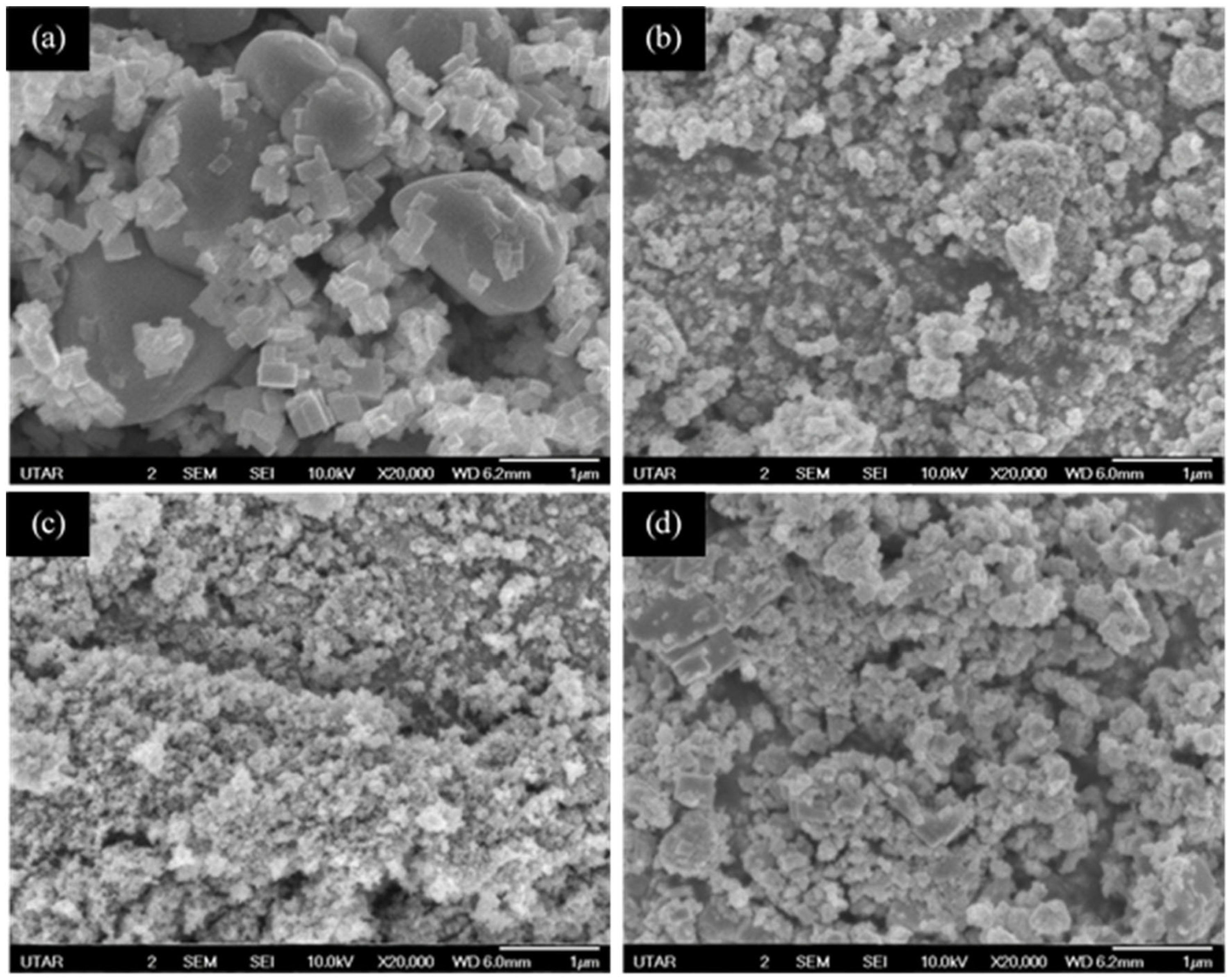 Membranes 13 00174 g003