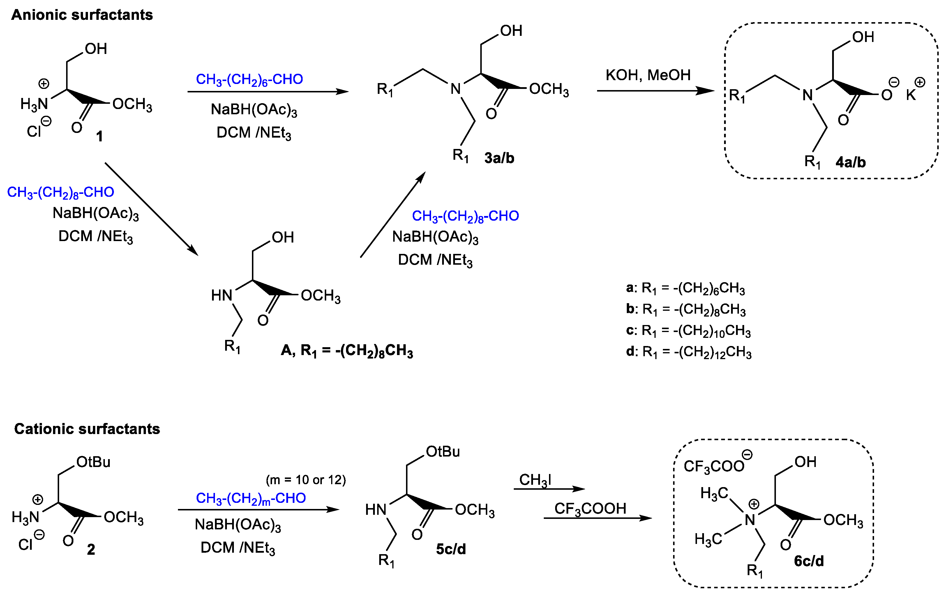 Membranes 13 00178 sch001