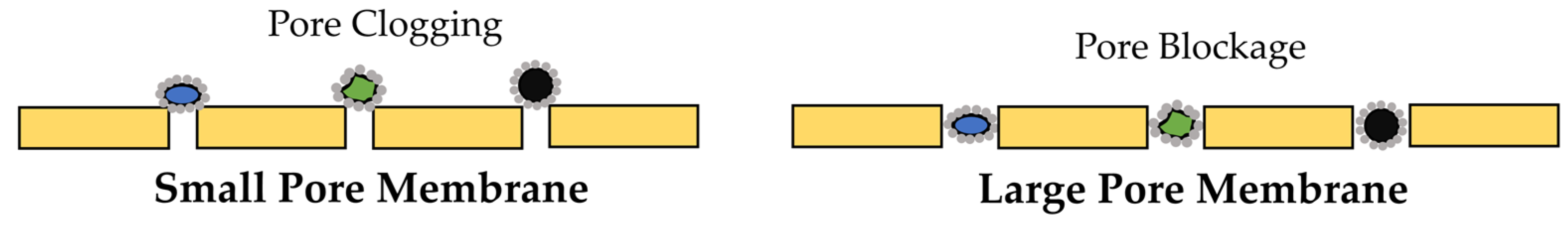 Membranes 13 00181 g005