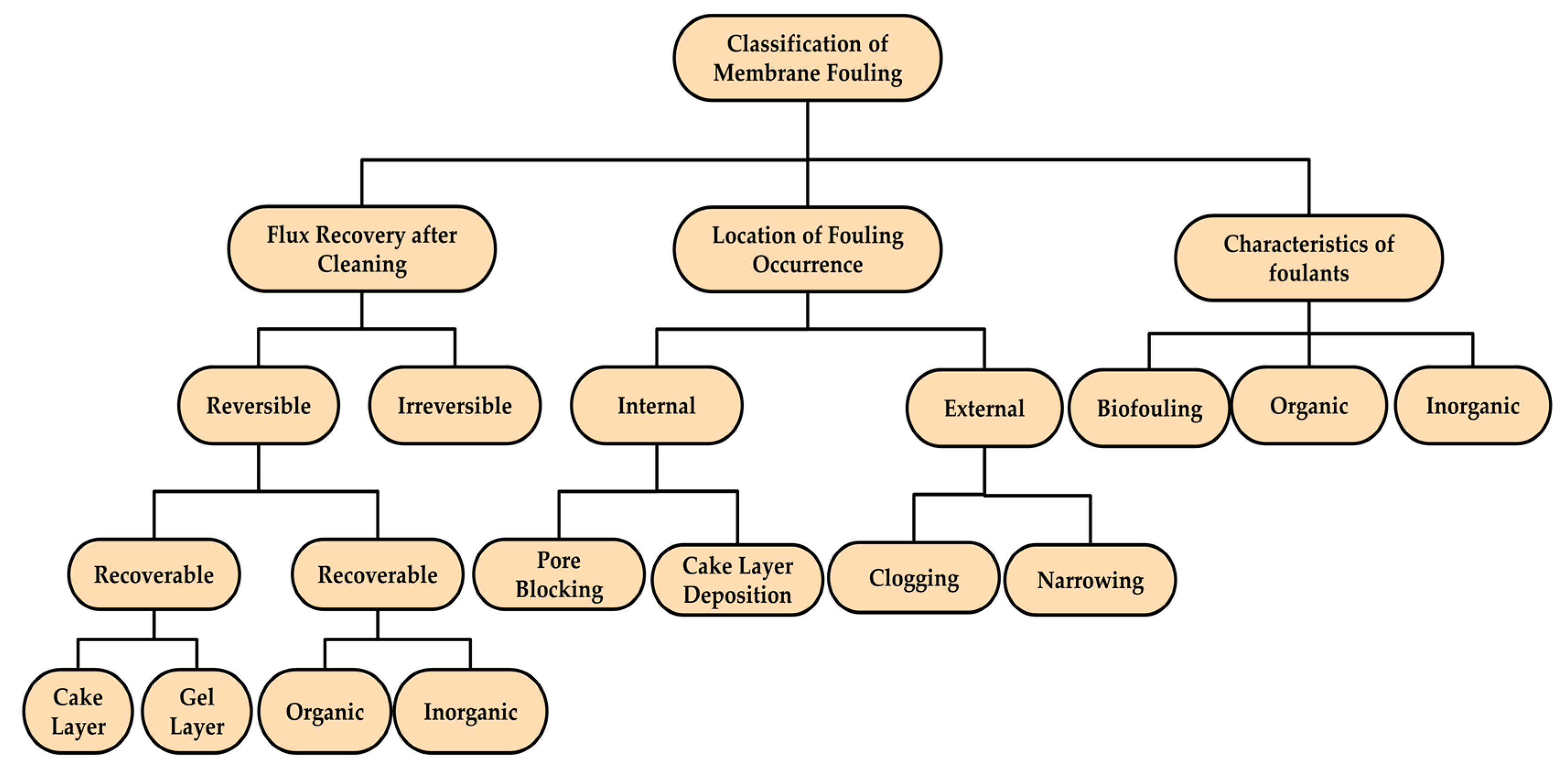 Membranes 13 00181 g008