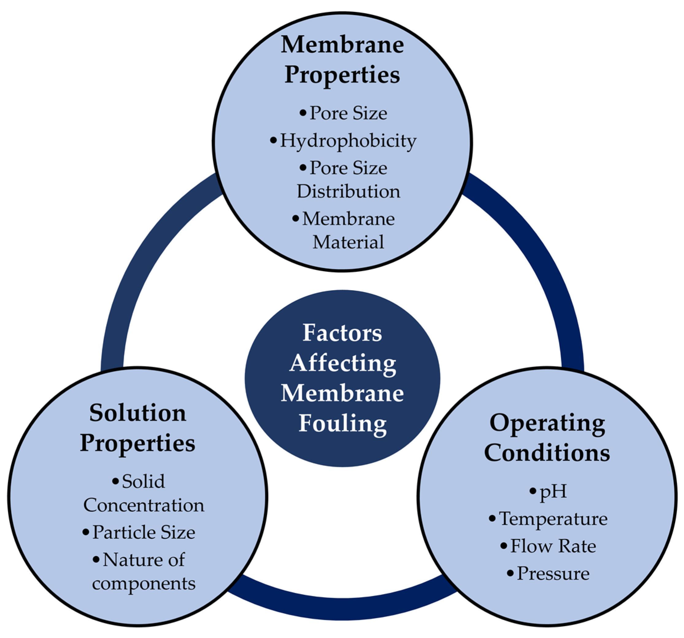 Membranes 13 00181 g010