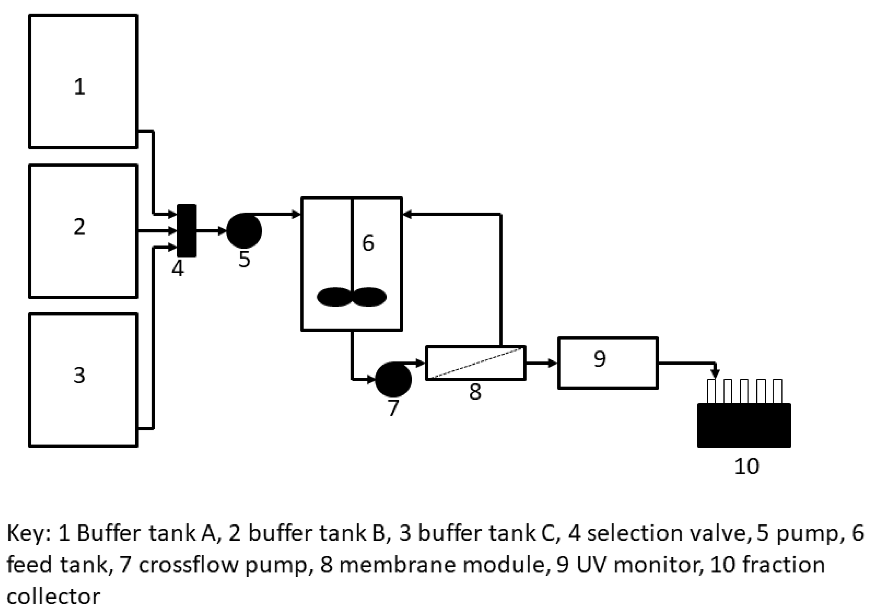 Membranes 13 00182 g003