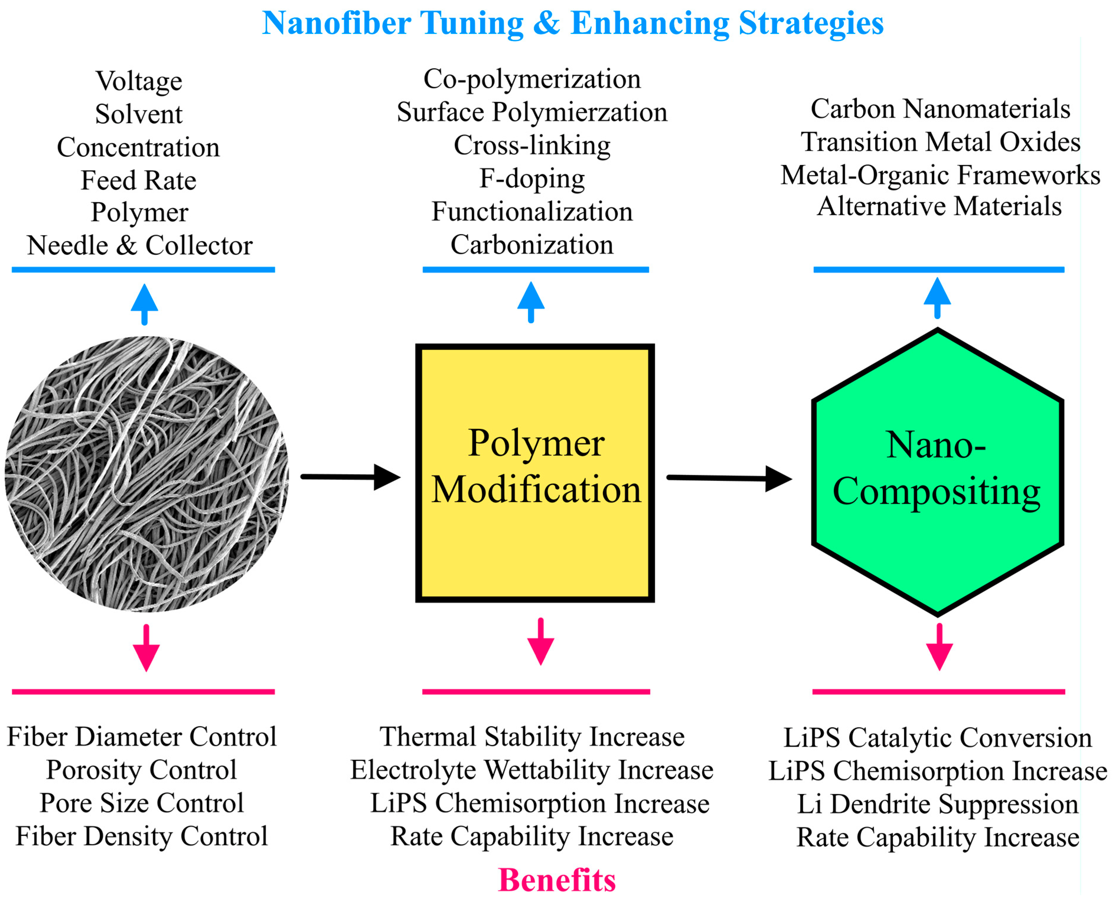 Membranes 13 00183 g001