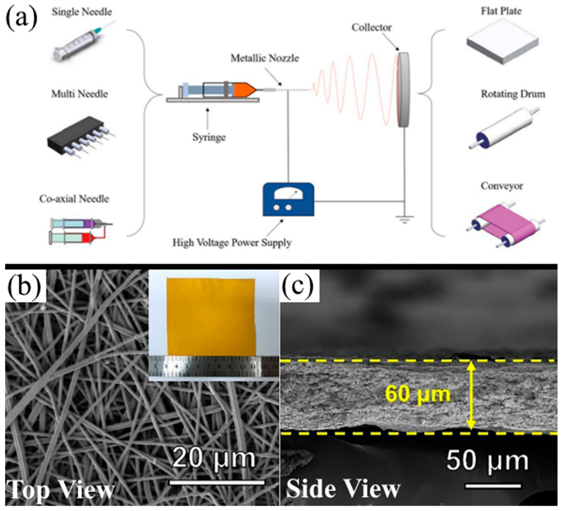 Membranes 13 00183 g003