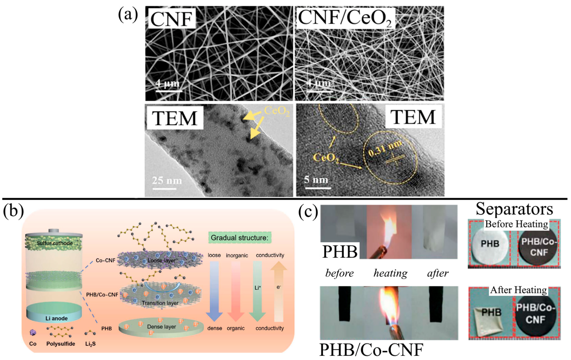 Membranes 13 00183 g006