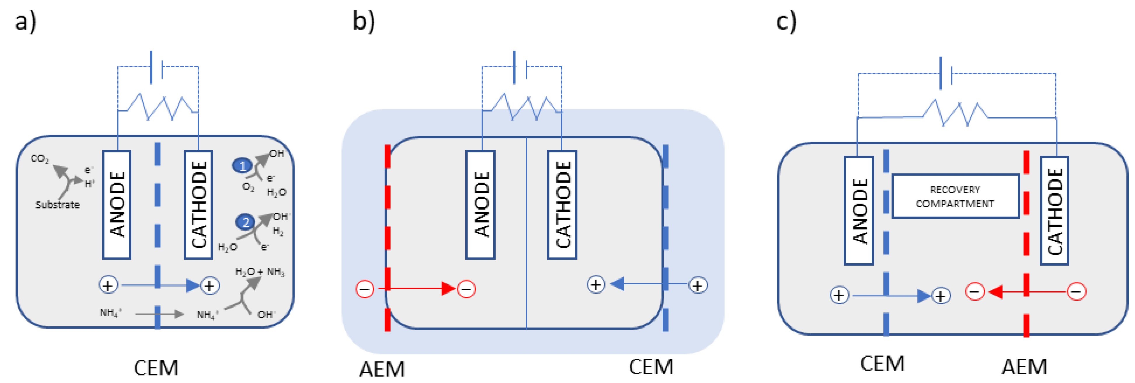 Membranes 13 00186 g001