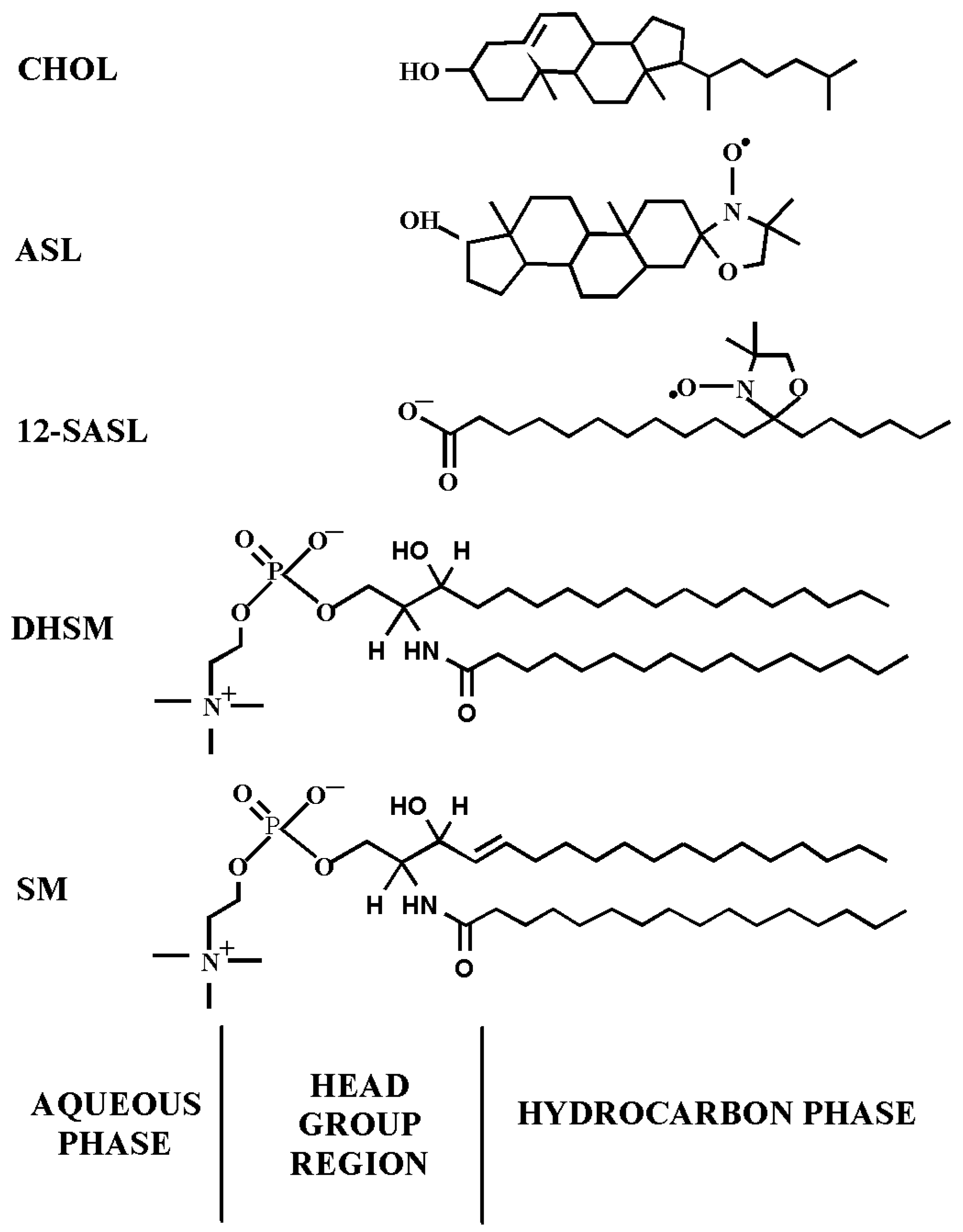 Membranes 13 00189 g001