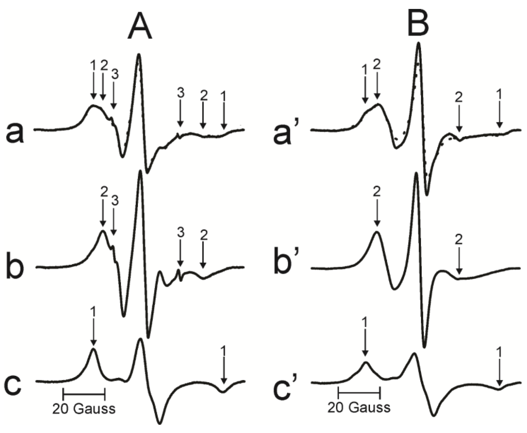 Membranes 13 00189 g003