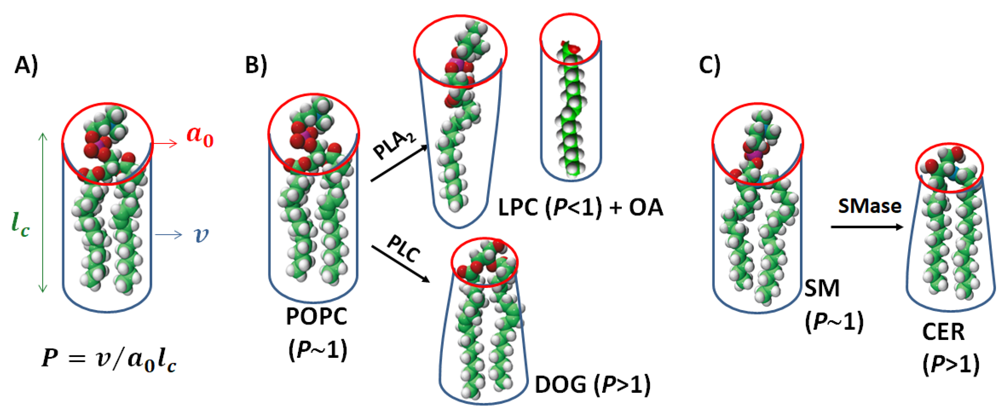 Membranes 13 00190 g001 Membranes 13 00190 g001