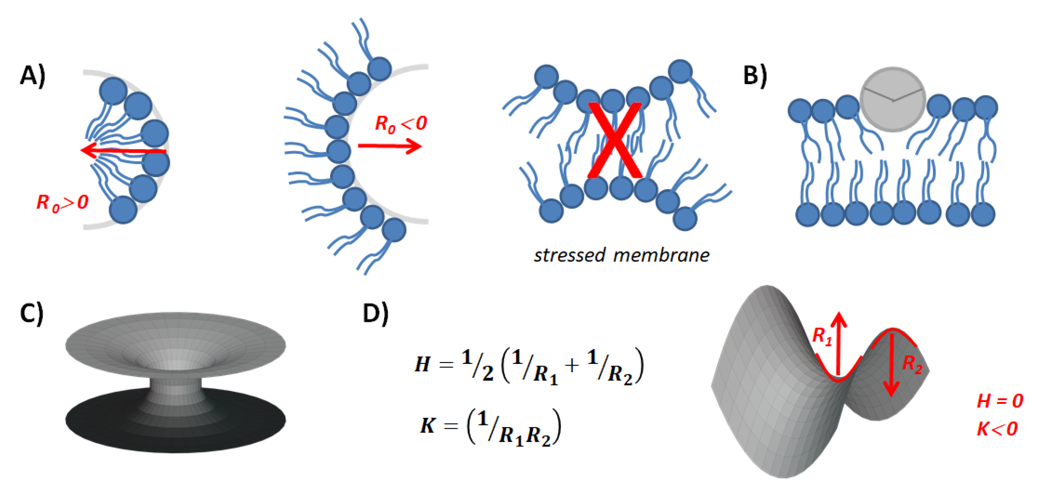 Membranes 13 00190 g002 Membranes 13 00190 g002
