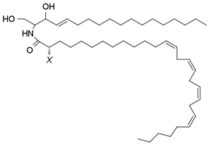Membranes 13 00190 i012 Membranes 13 00190 i012