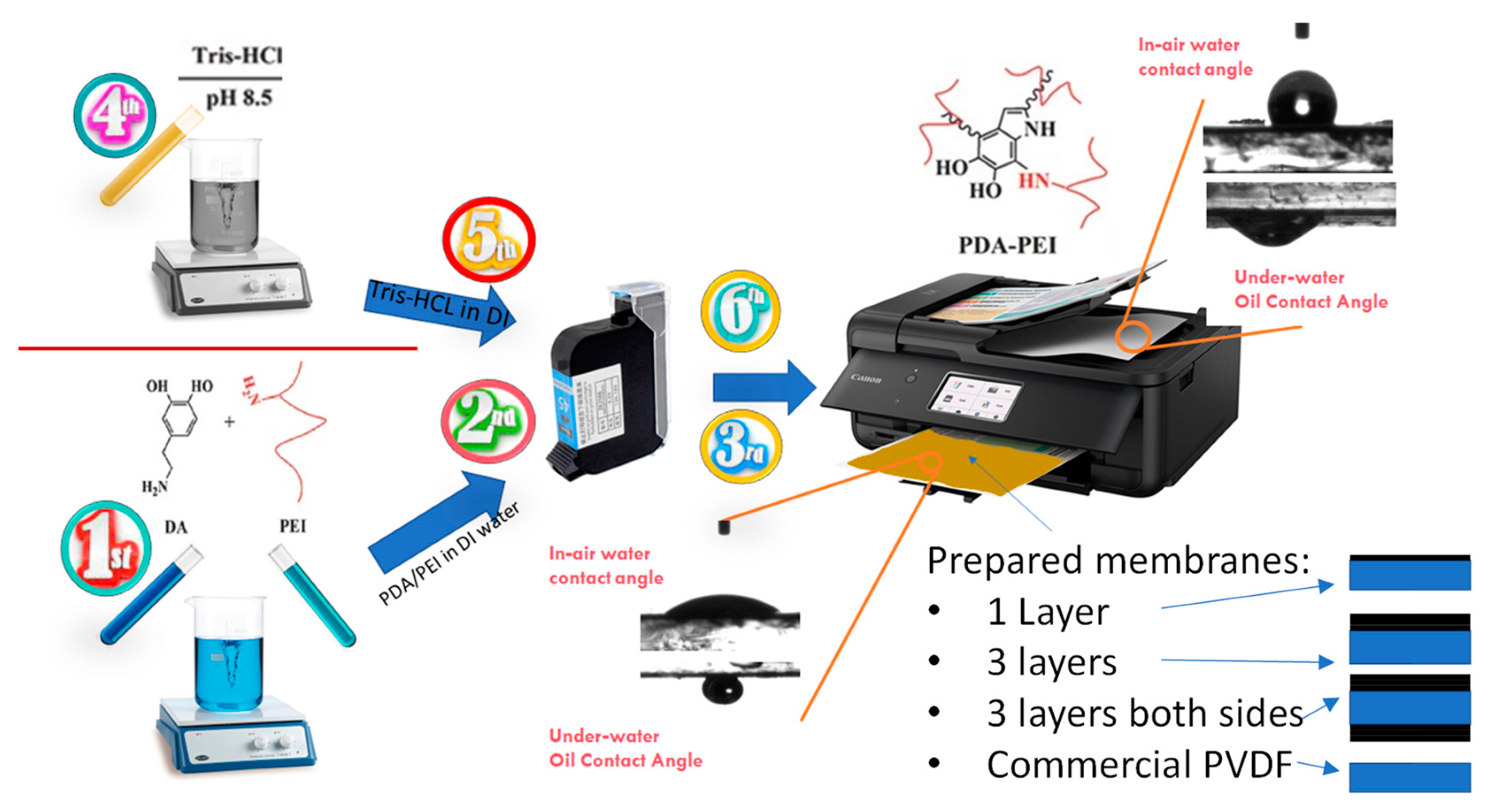 Membranes 13 00191 g001