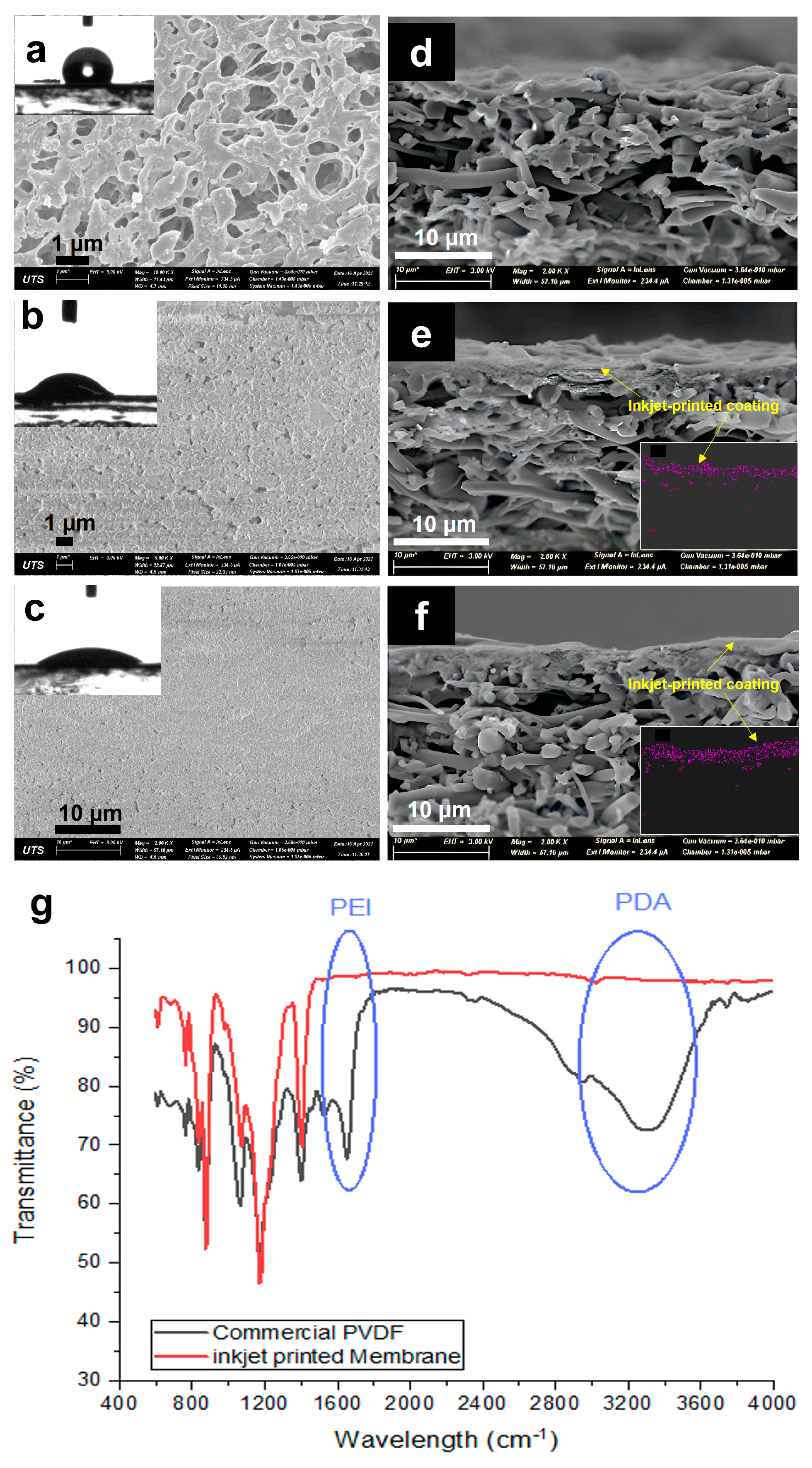 Membranes 13 00191 g003