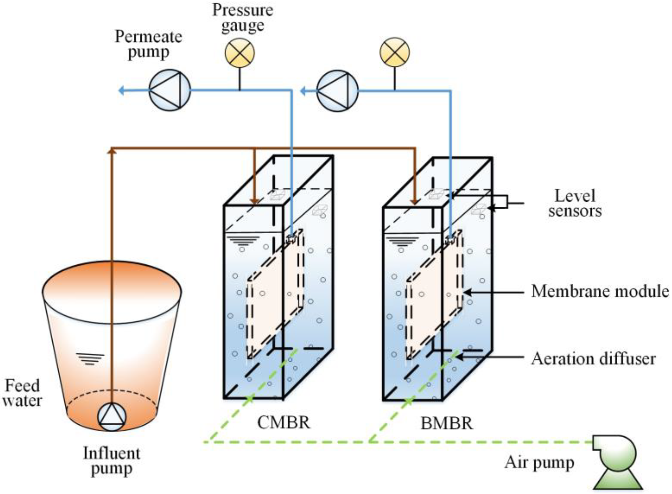Membranes 13 00194 g001