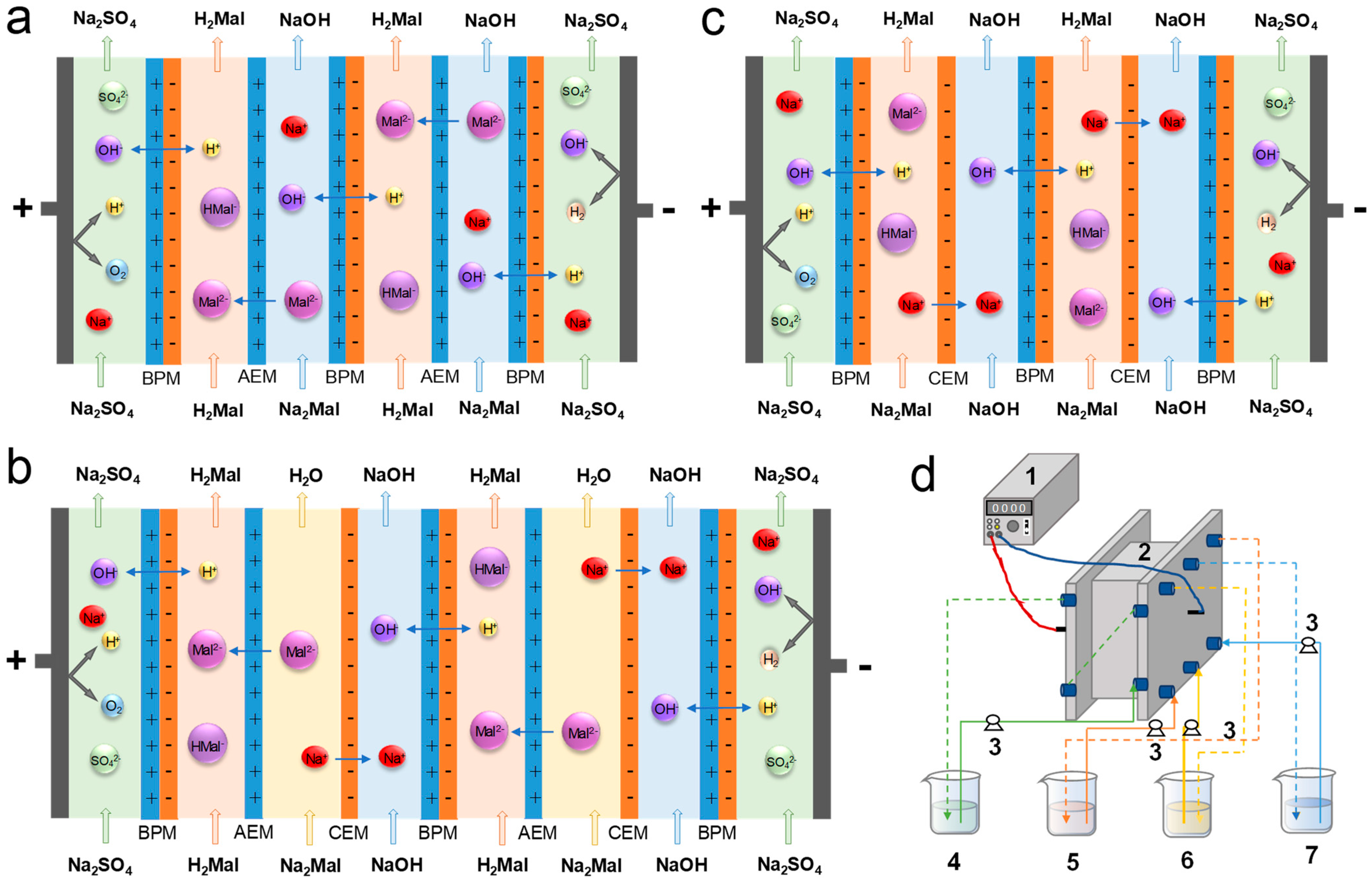 Membranes 13 00197 g002