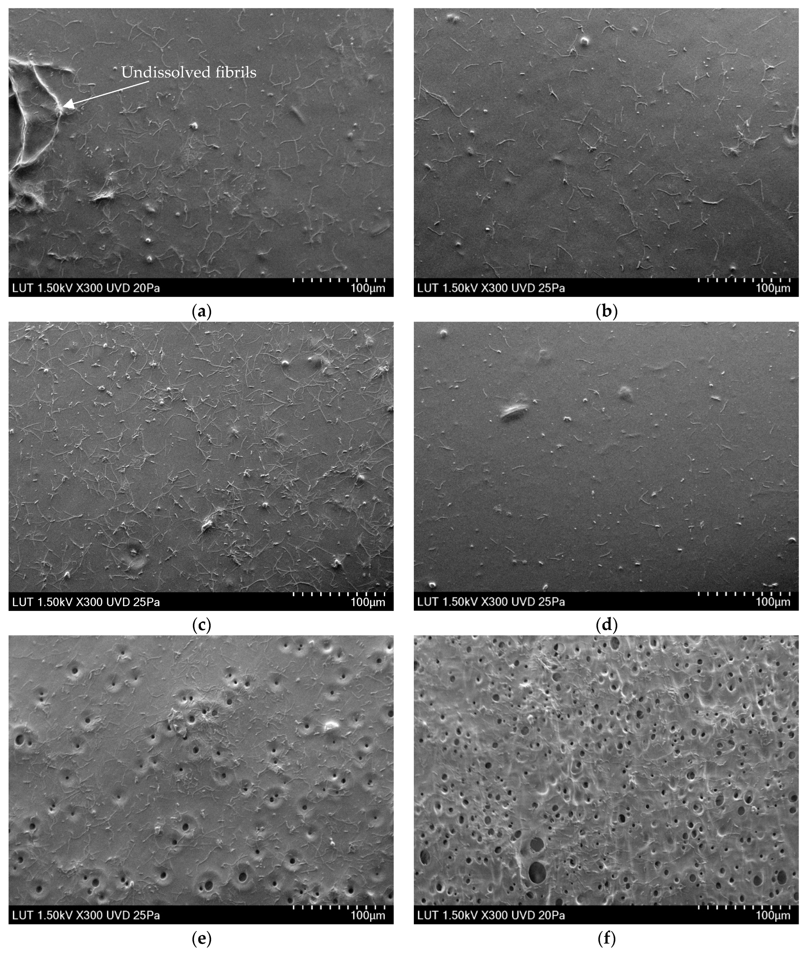Membranes 13 00198 g003