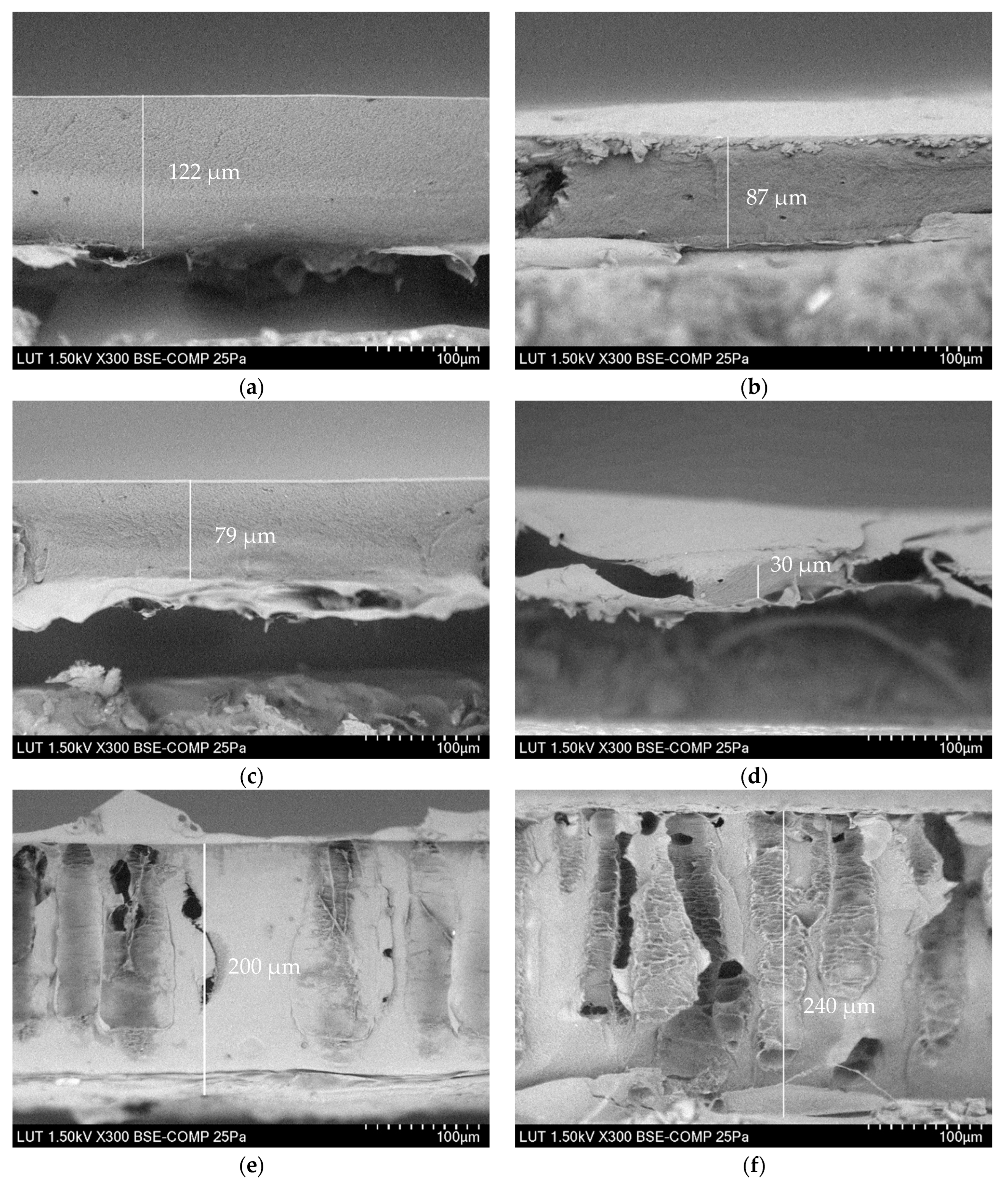 Membranes 13 00198 g004