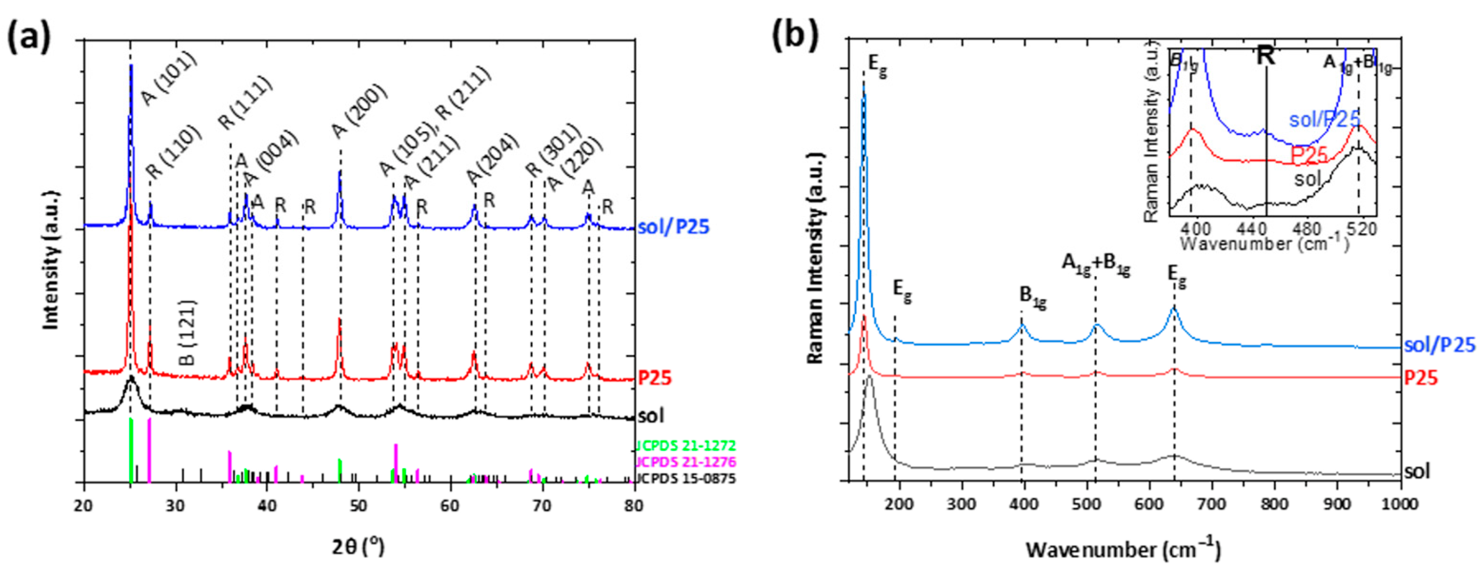 Membranes 13 00202 g002