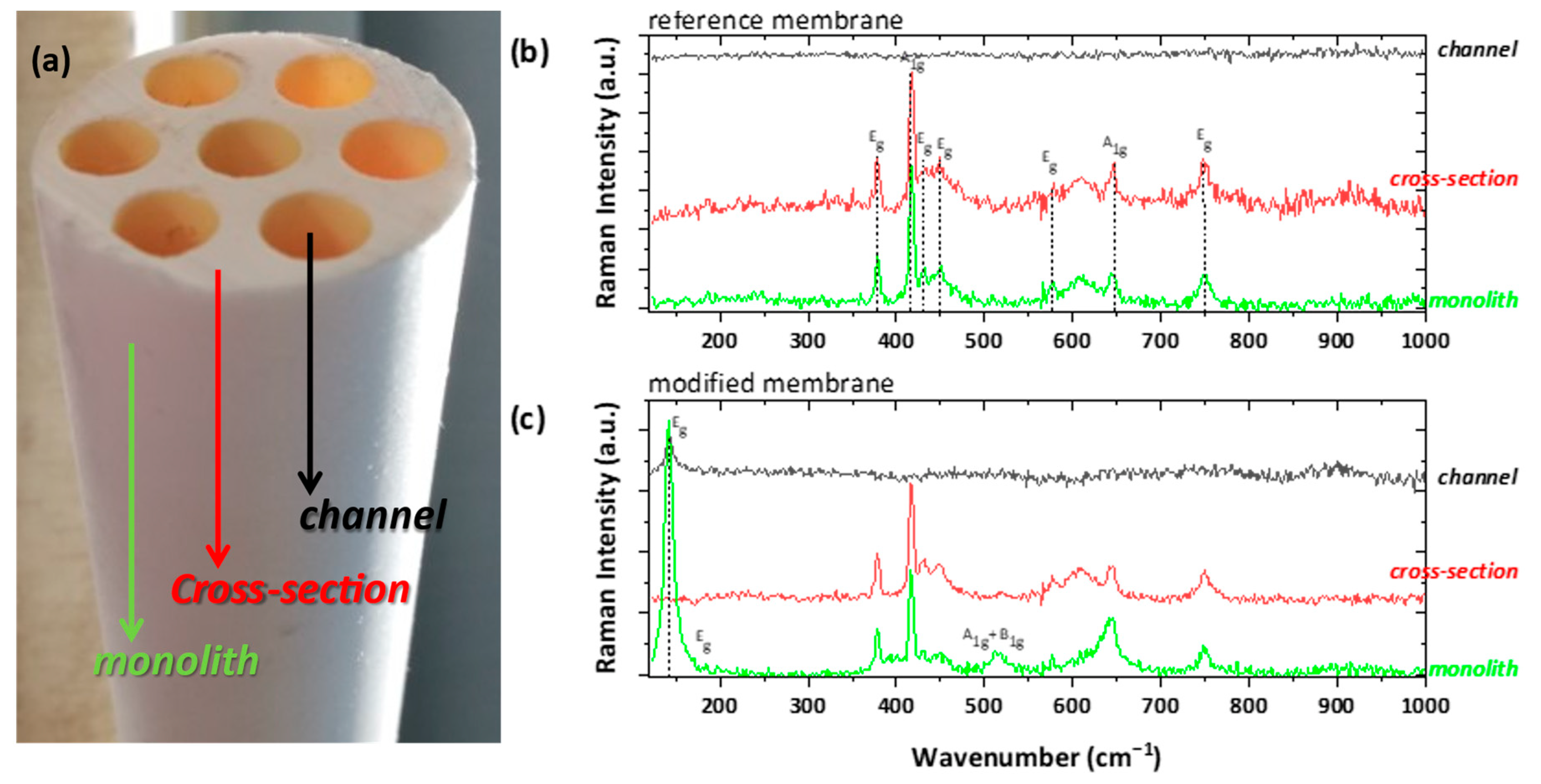 Membranes 13 00202 g009