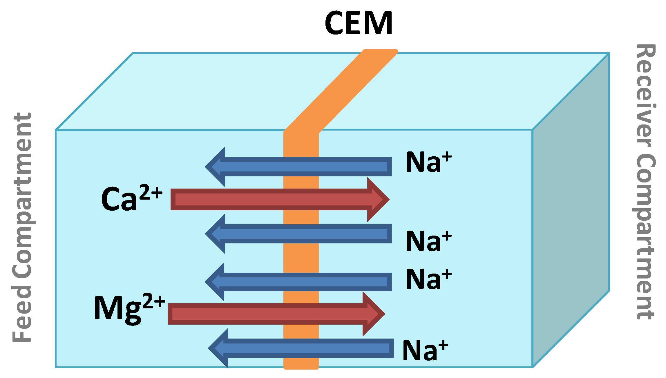 Membranes 13 00203 g003