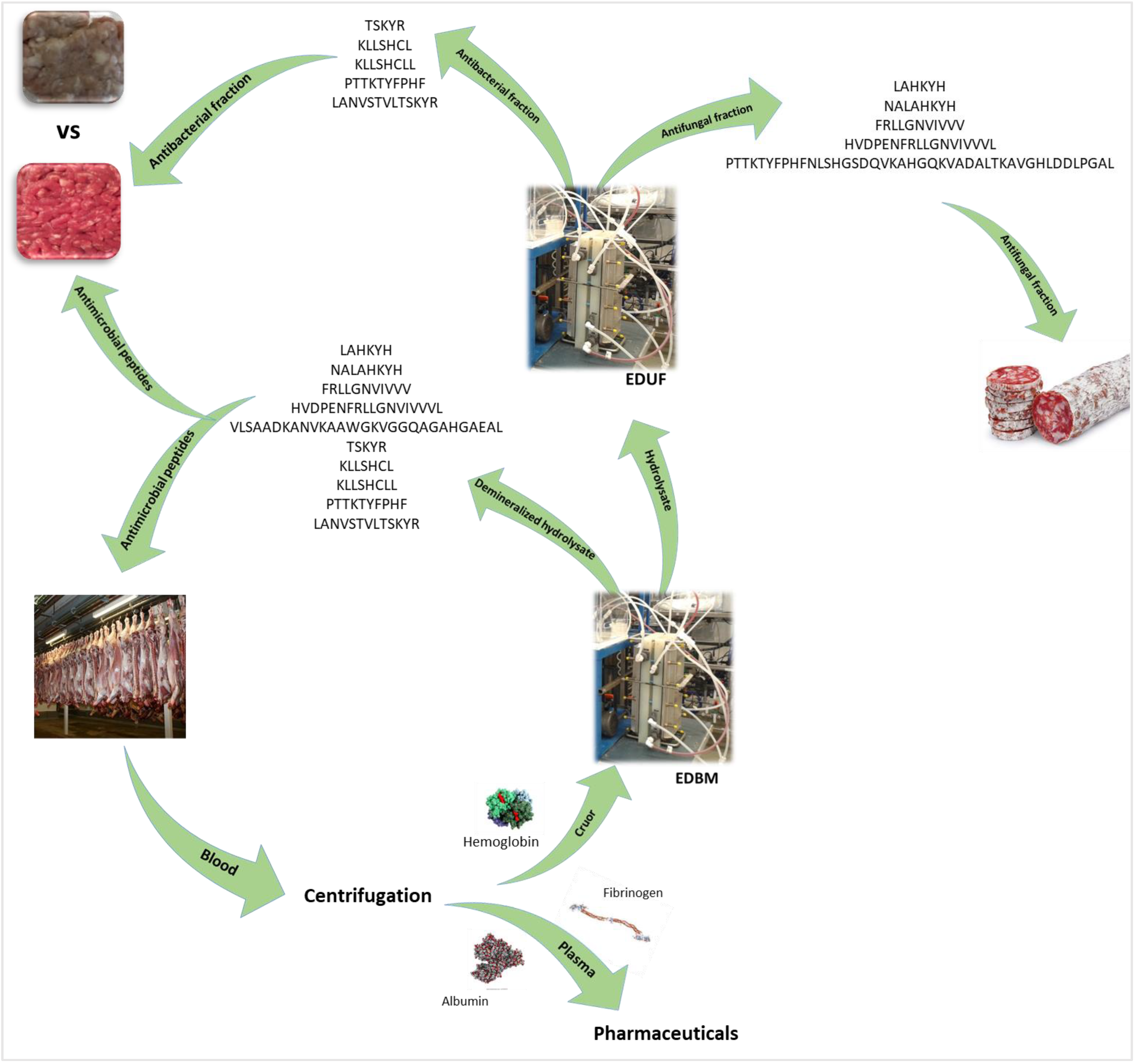 Membranes 13 00205 g008 Membranes 13 00205 g008