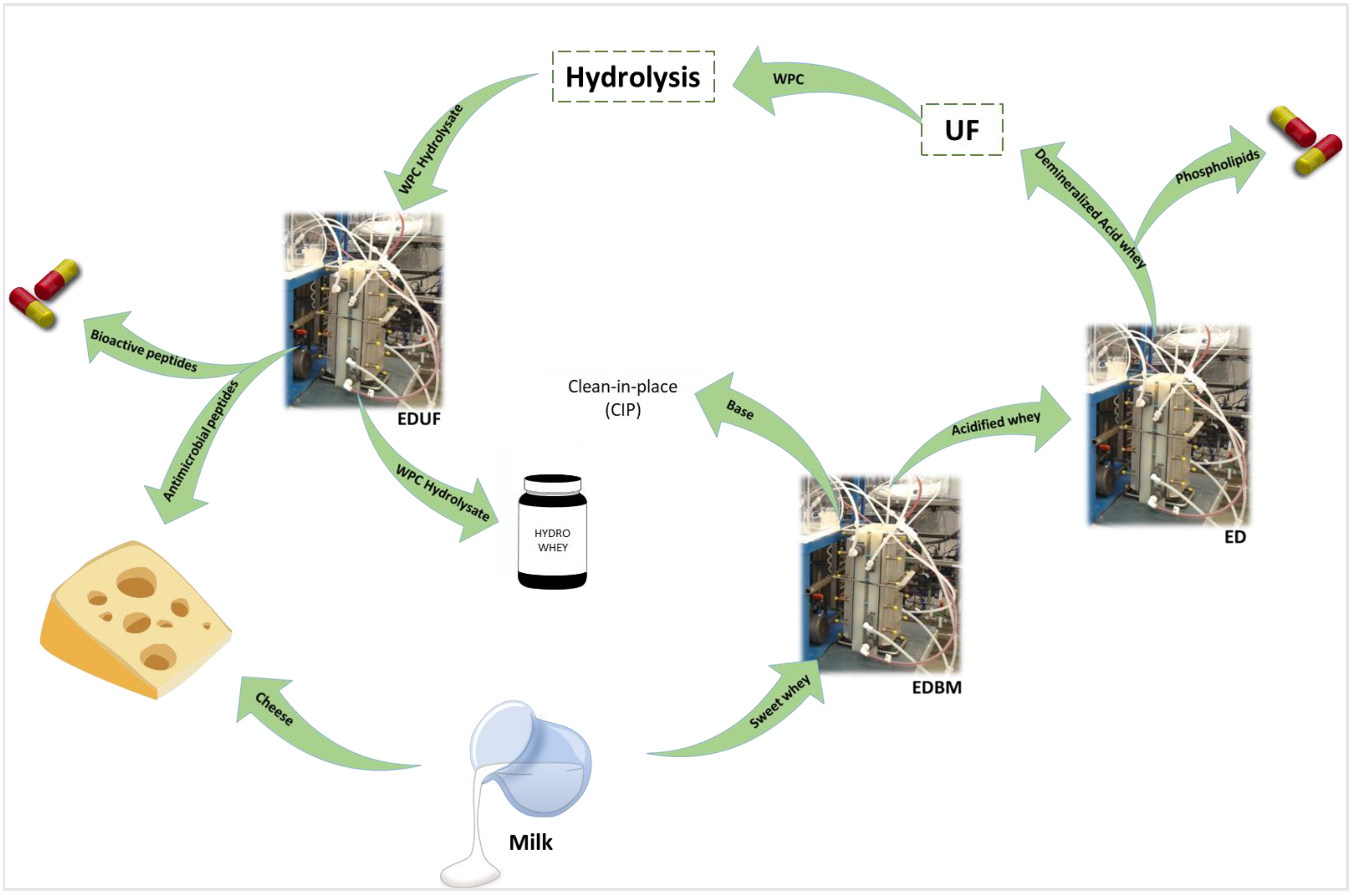 Membranes 13 00205 g010 Membranes 13 00205 g010