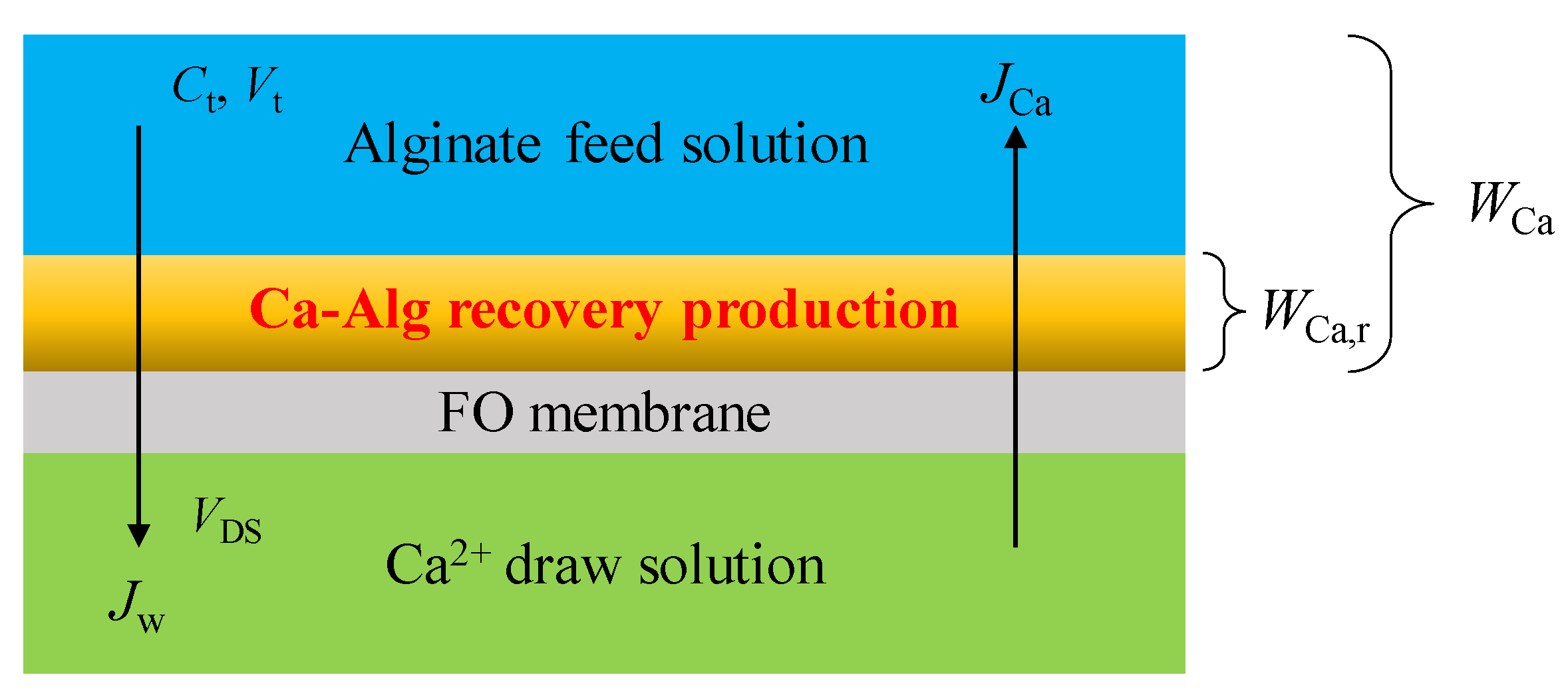 Membranes 13 00207 g001