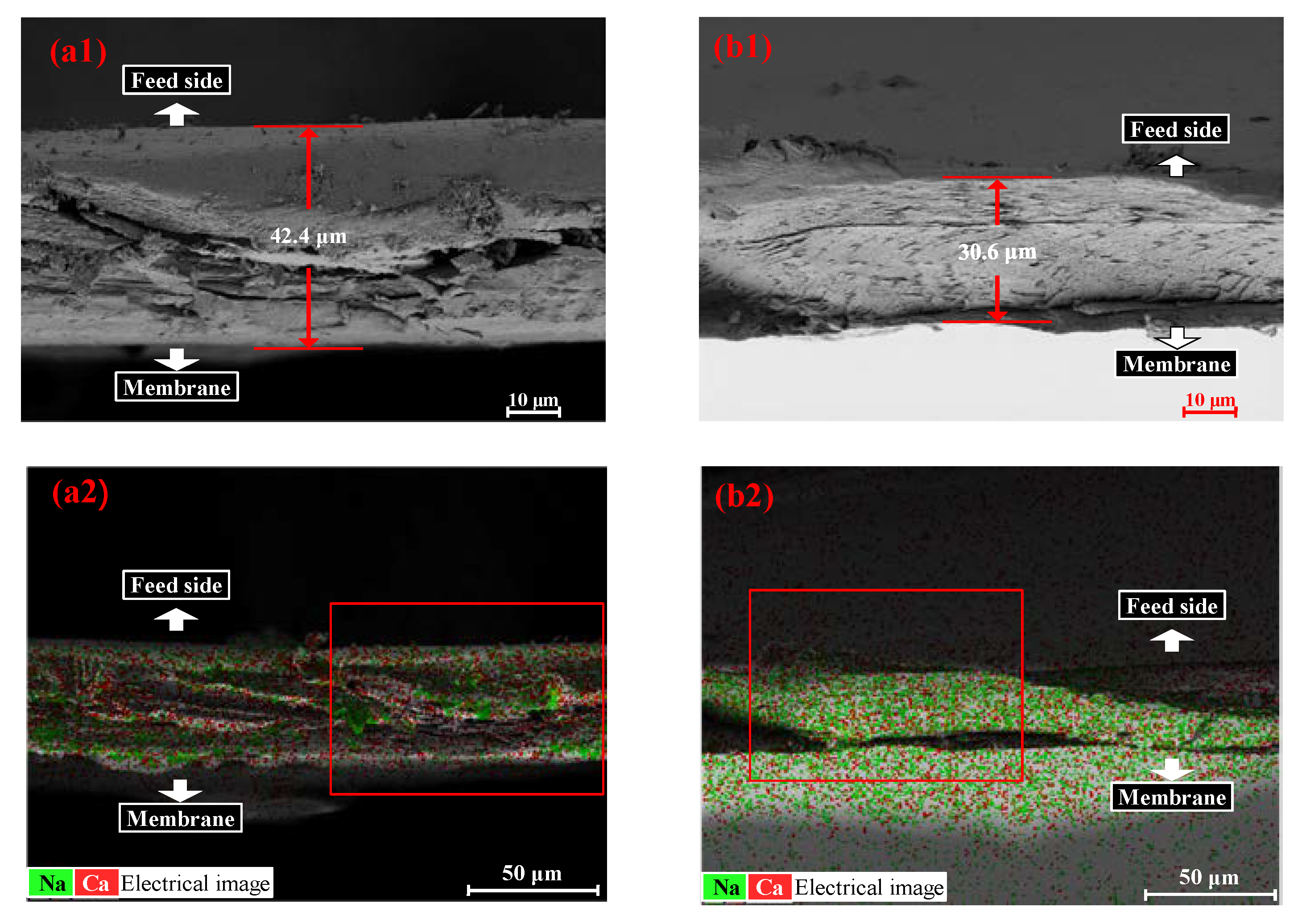 Membranes 13 00207 g005