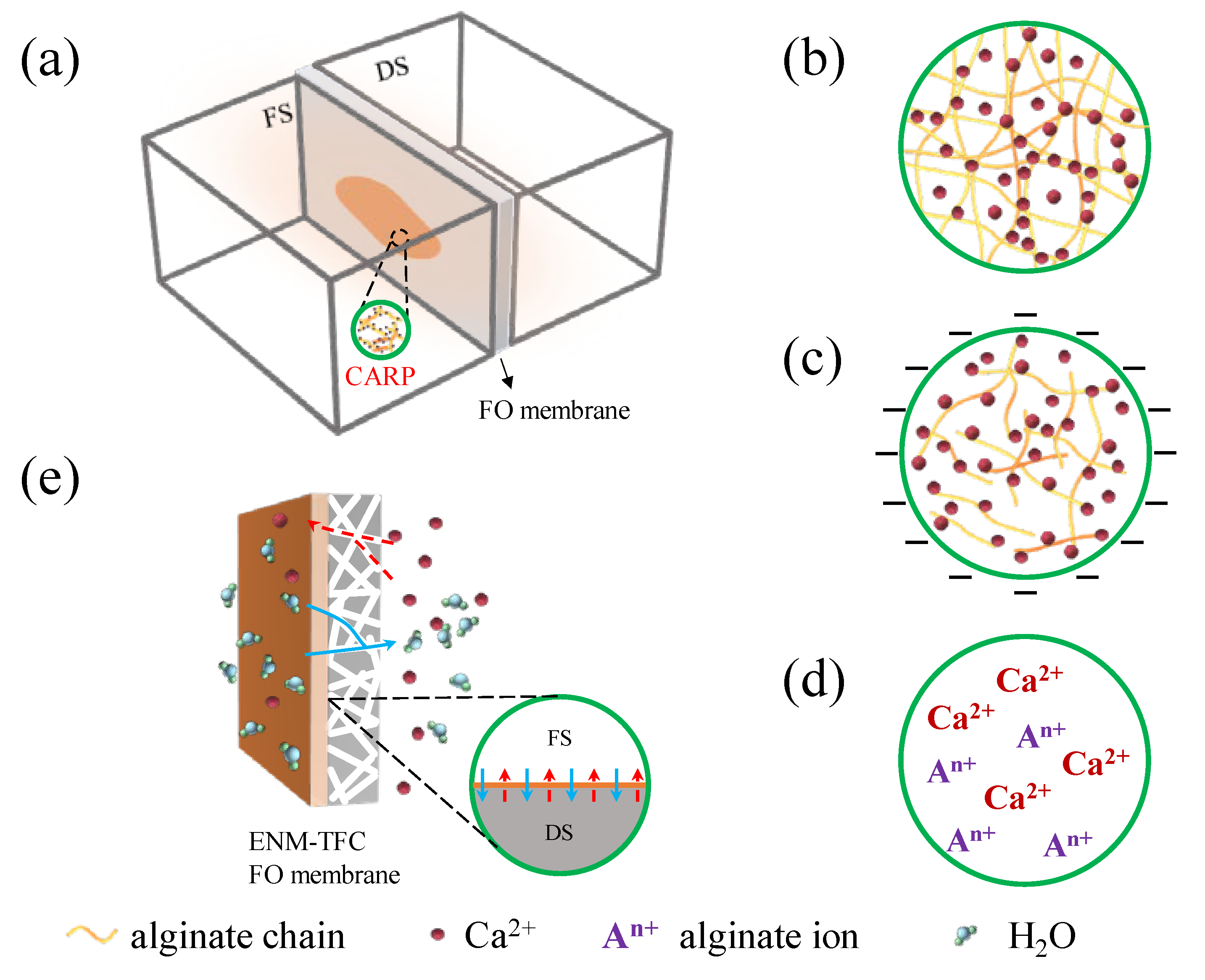 Membranes 13 00207 g007