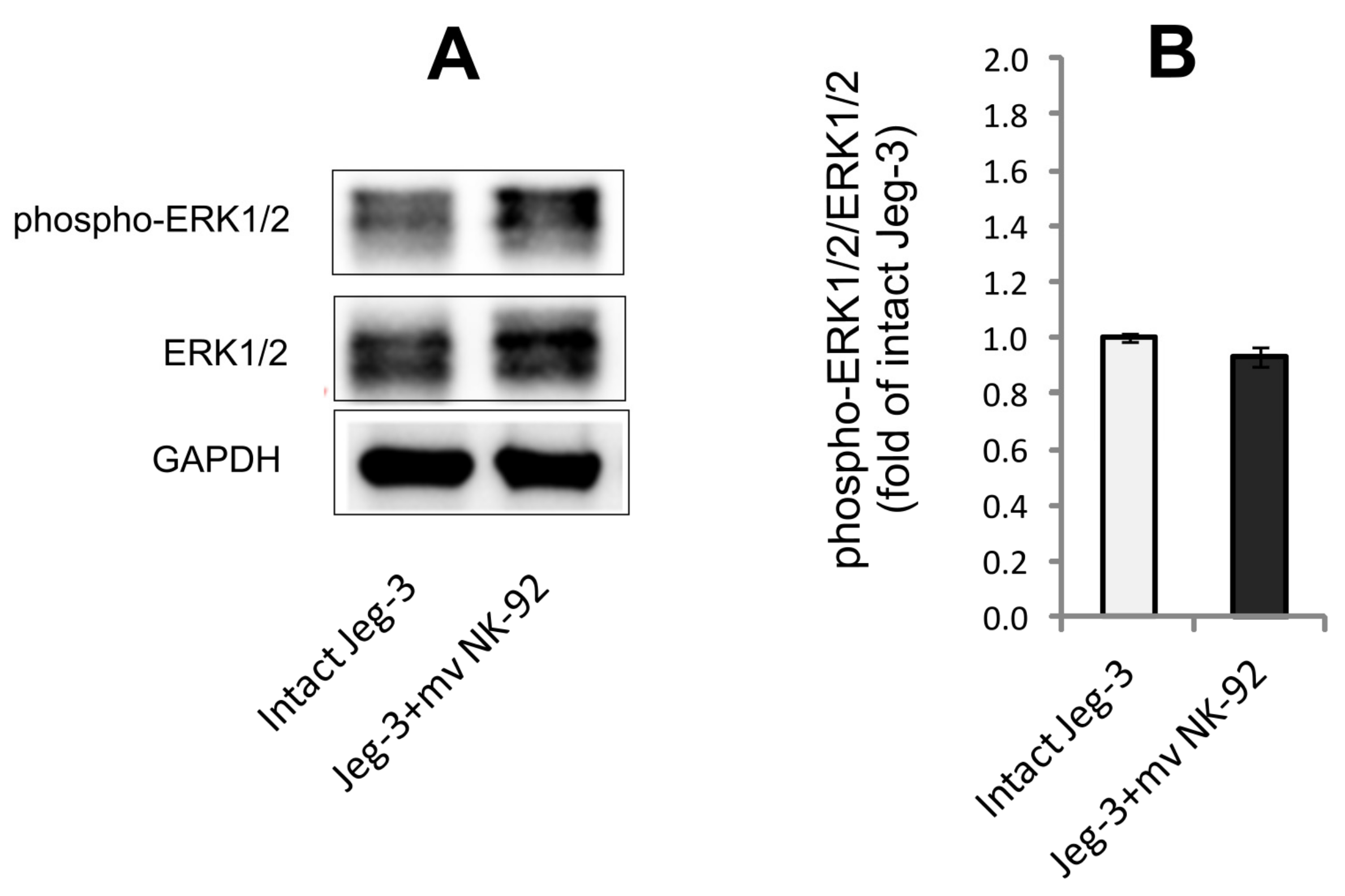 Membranes 13 00213 g007