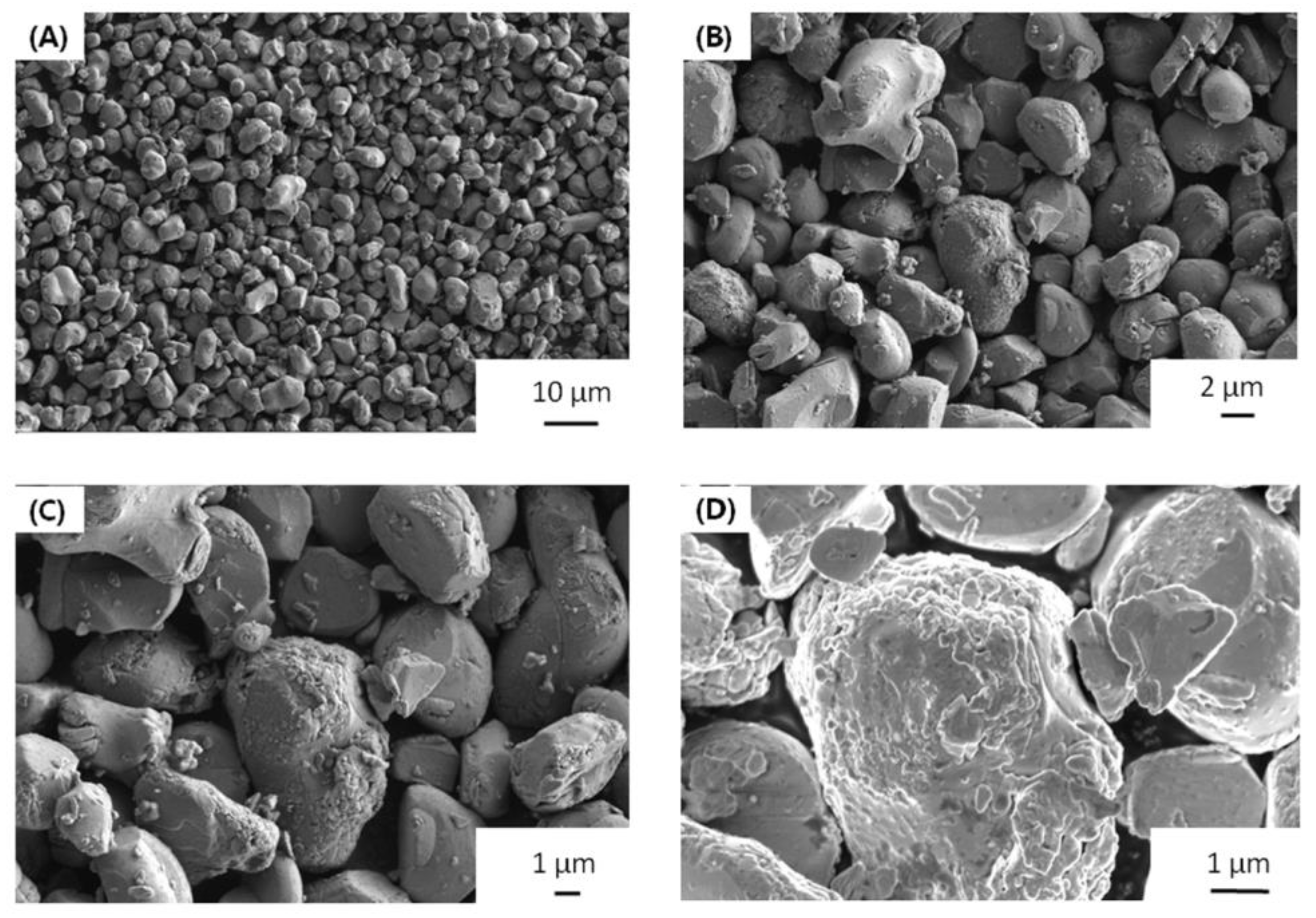 Membranes 13 00216 g002