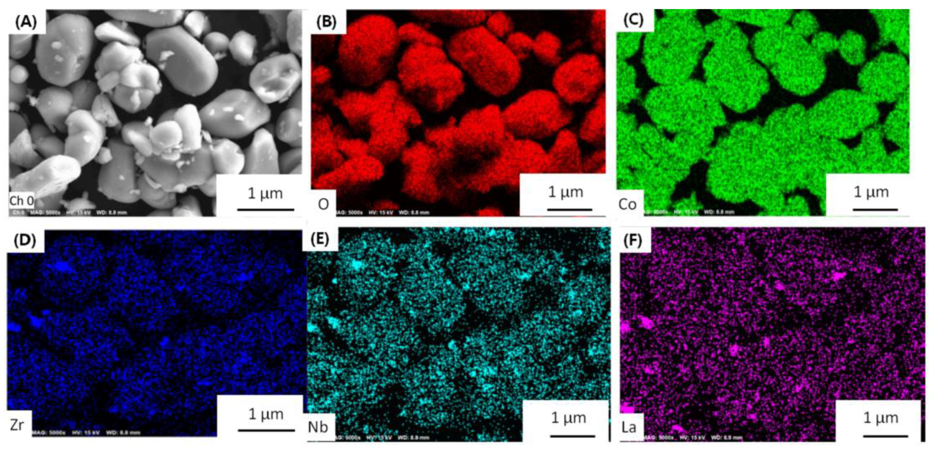 Membranes 13 00216 g003