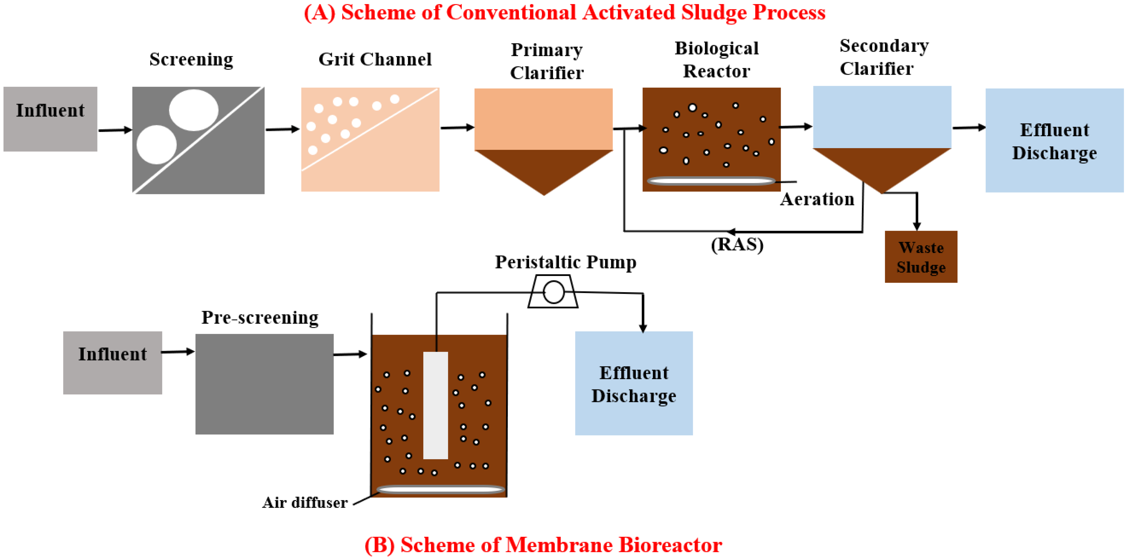 Membranes 13 00217 g001