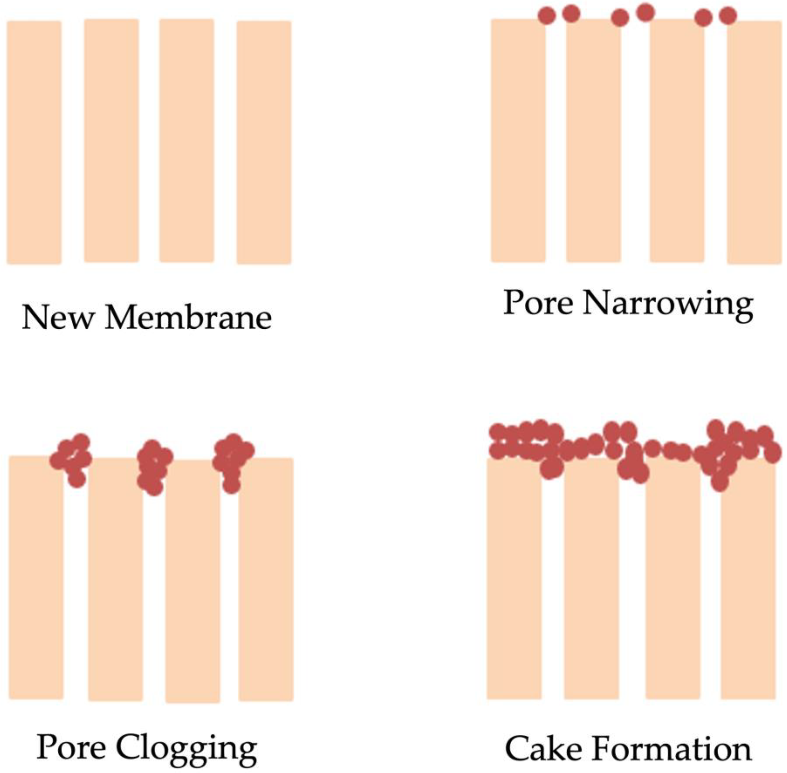 Membranes 13 00217 g002