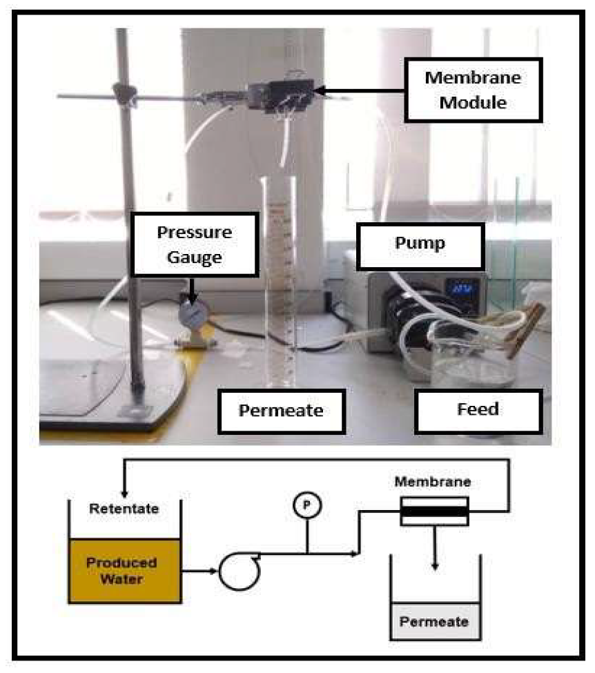 Membranes 13 00224 g001