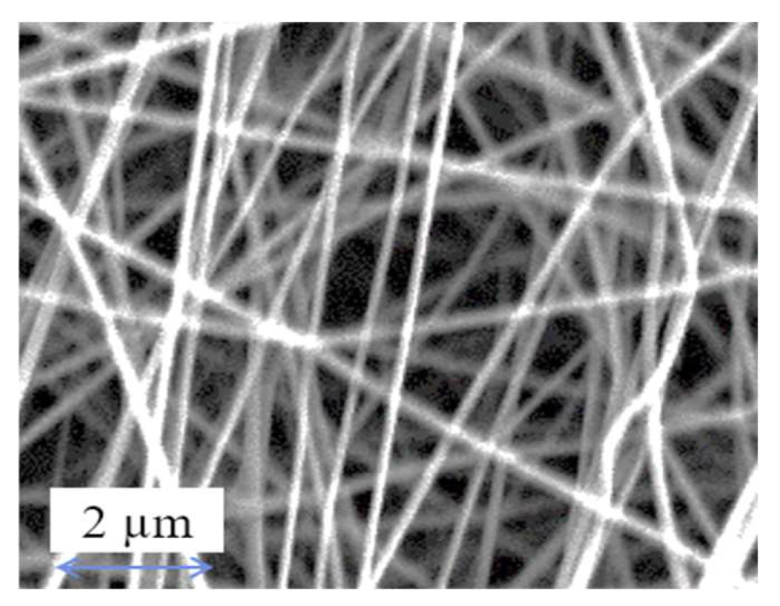 Membranes 13 00224 g003