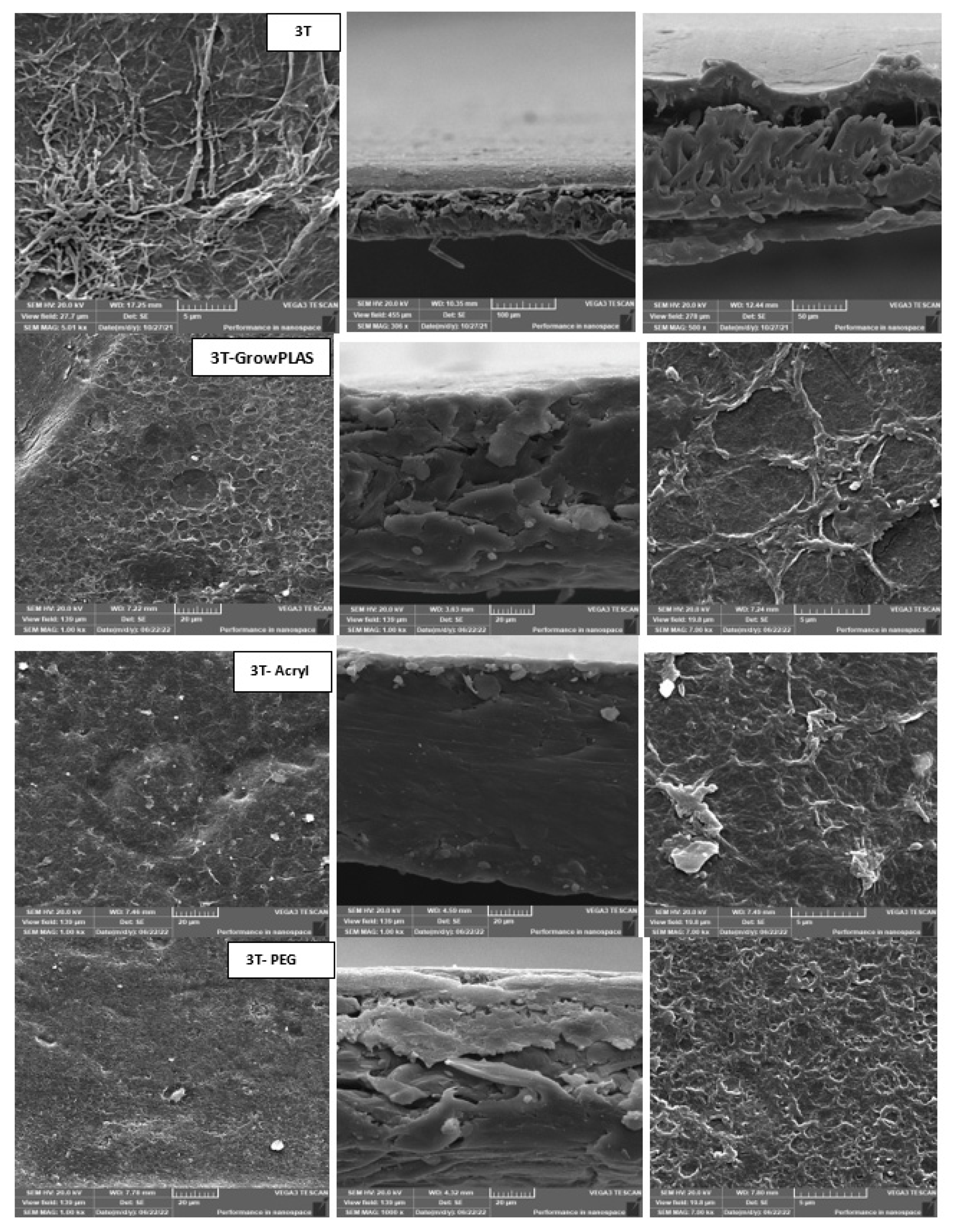 Membranes 13 00227 g005a