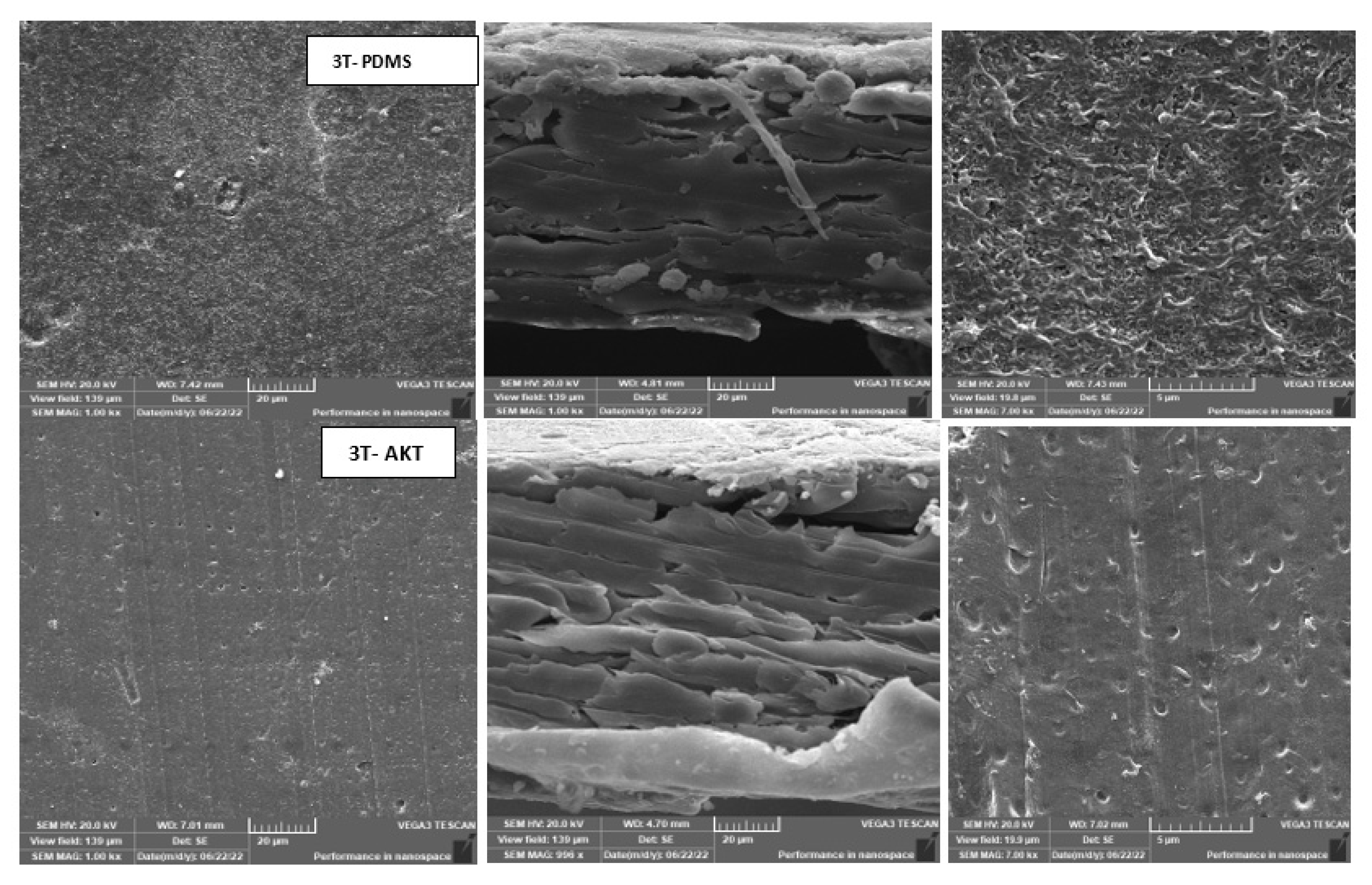 Membranes 13 00227 g005b