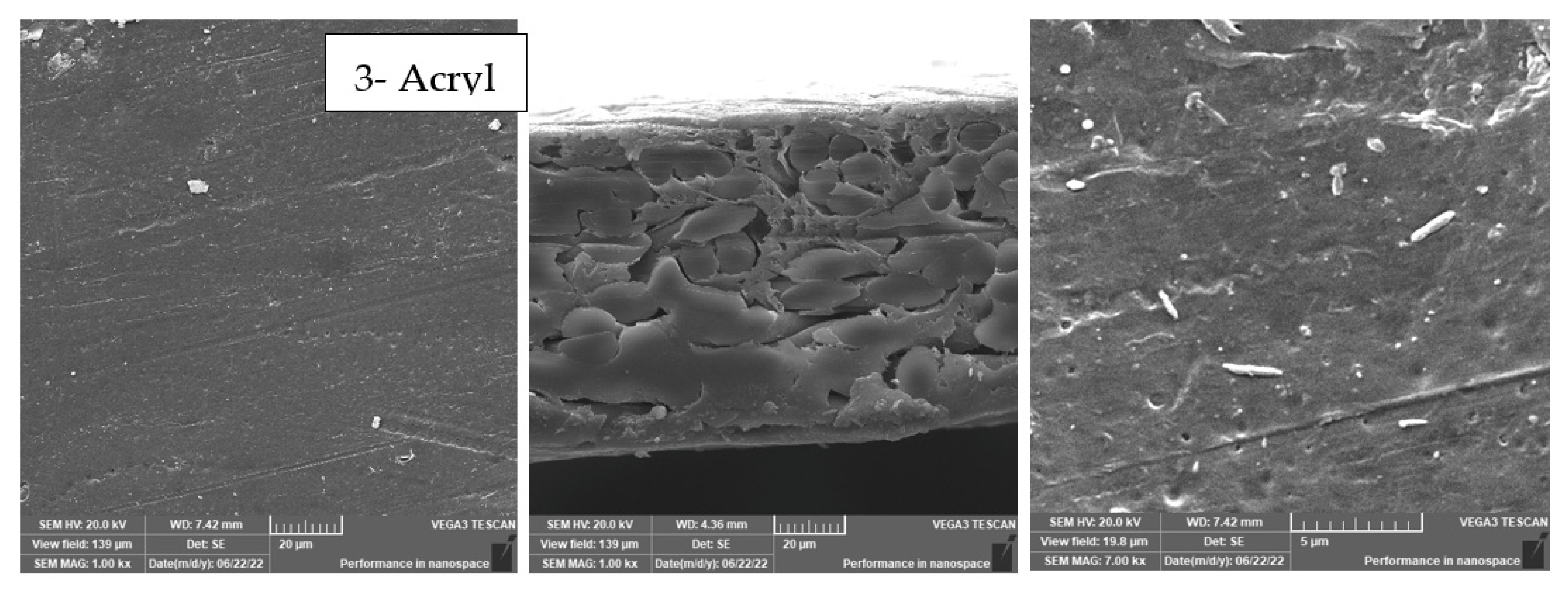 Membranes 13 00227 g017