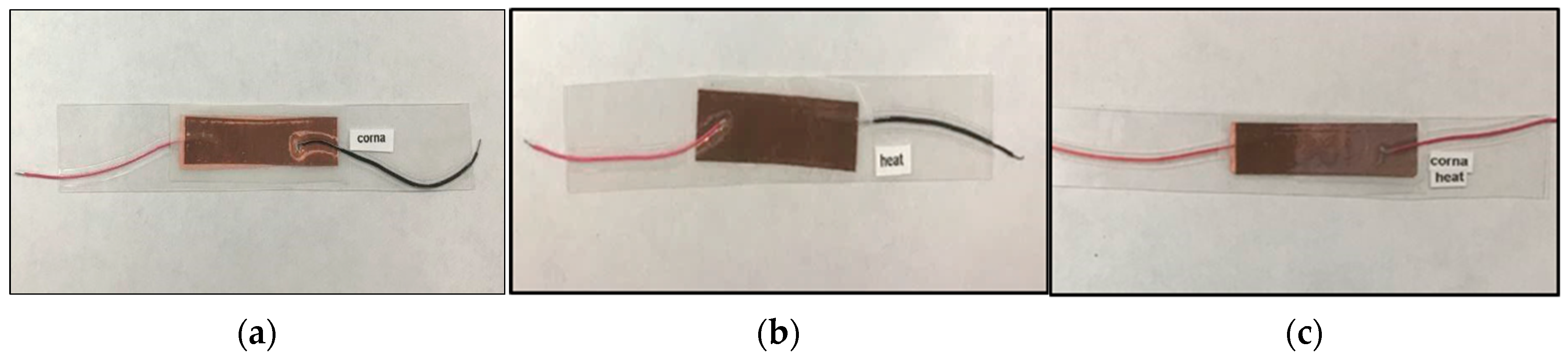 Membranes 13 00231 g003