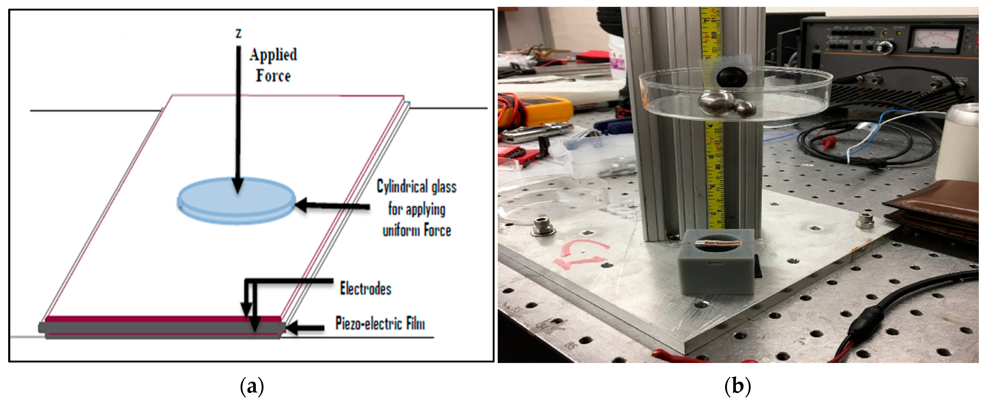 Membranes 13 00231 g004