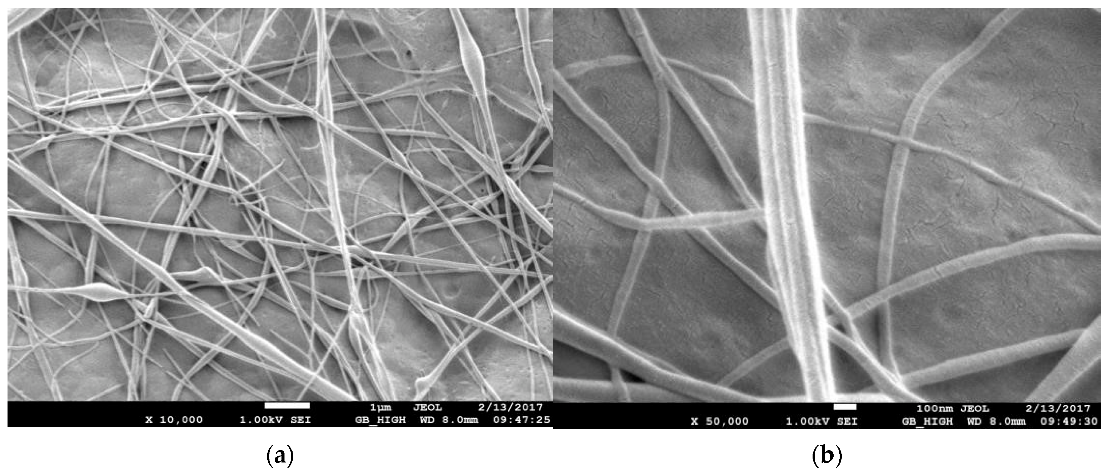 Membranes 13 00231 g005