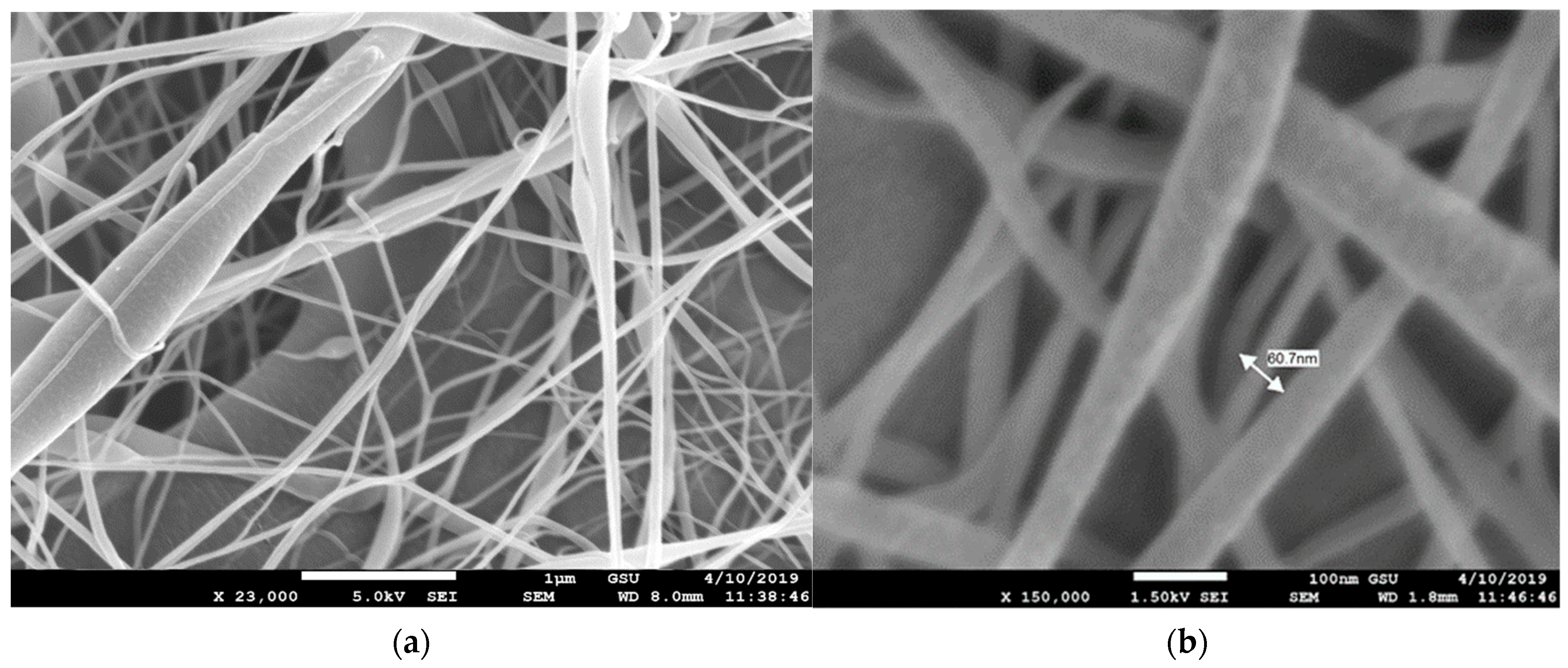 Membranes 13 00231 g006